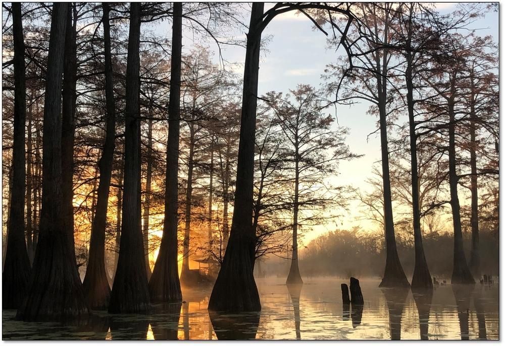 Oak Ridge Rd., Vicksburg, MS 39183 Land and Farm