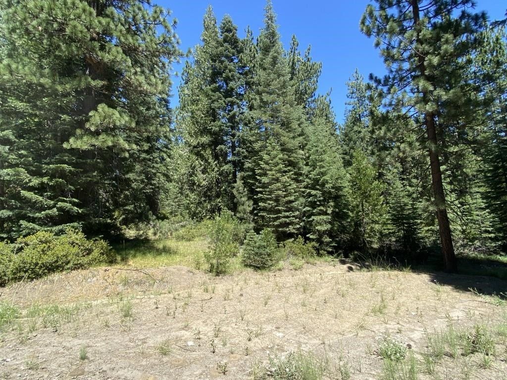 2.5 Acres, 3E9 Mt Shasta Dr, Mccloud, CA 96057 Land and Farm