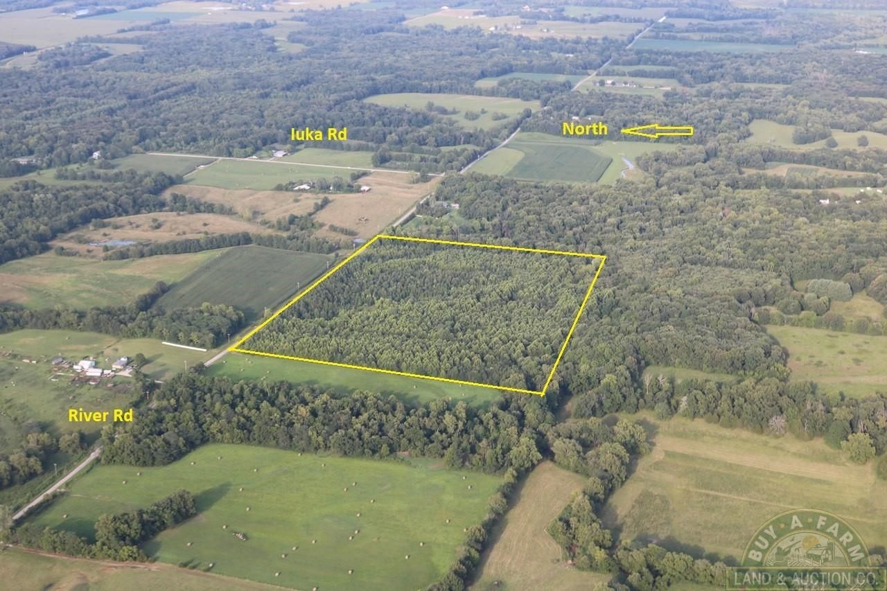 40 Acres, River Road, Iuka, IL 62849 Land and Farm