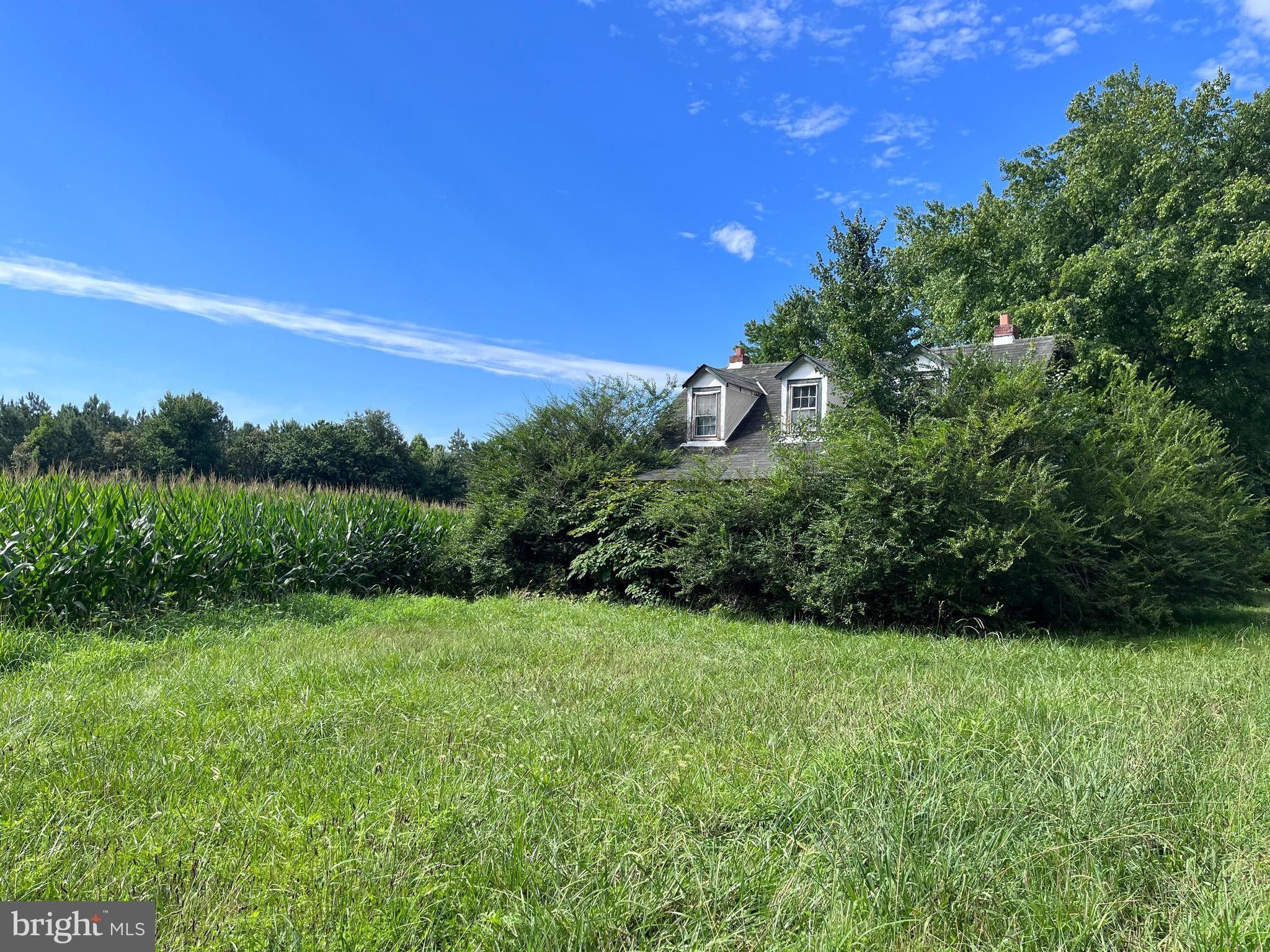 10 Acres, 18334 BEAZLEY LANE, Milford, VA 22514 Land and Farm