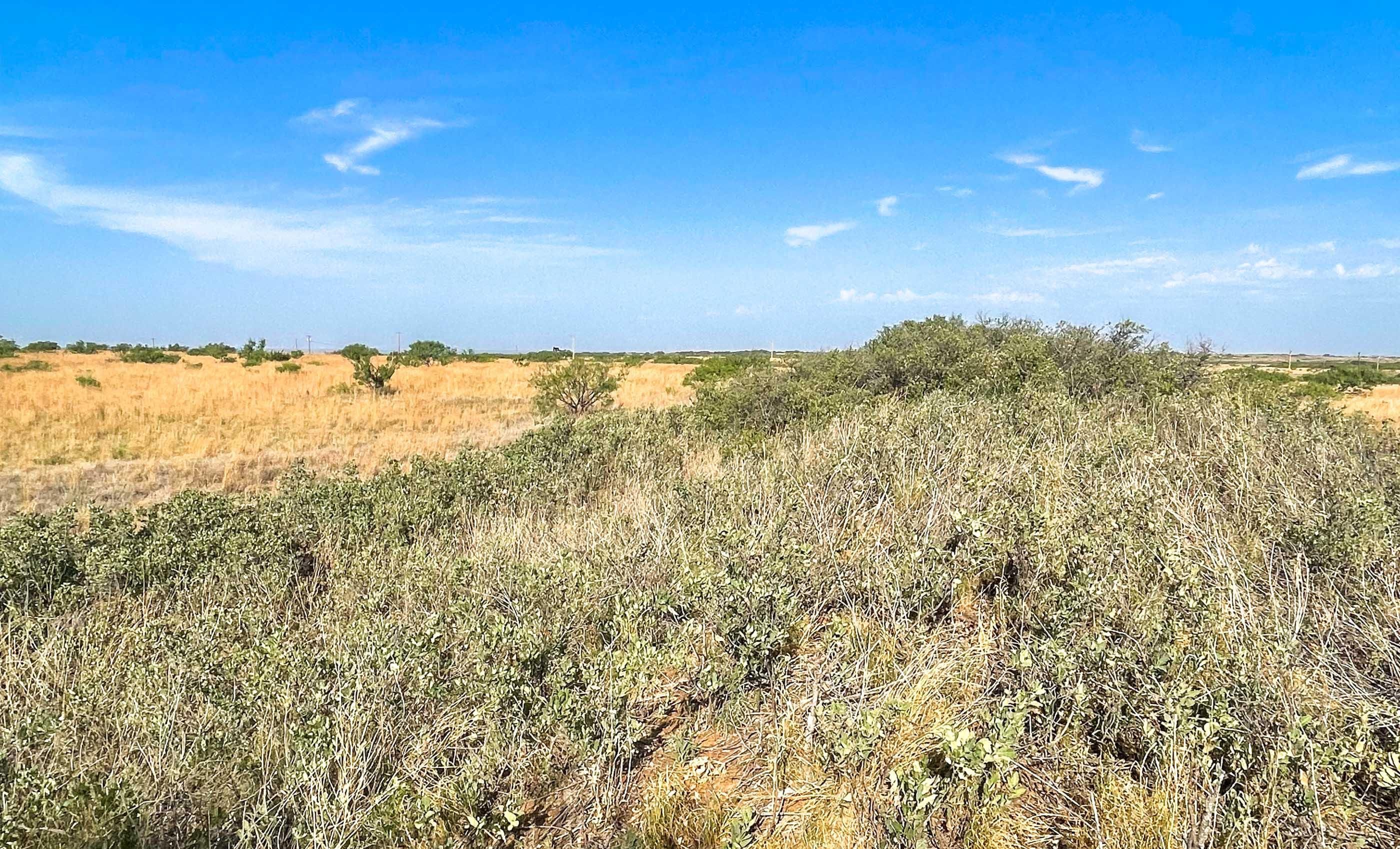 180 Acres, Roaring Springs, TX 79256 Land and Farm