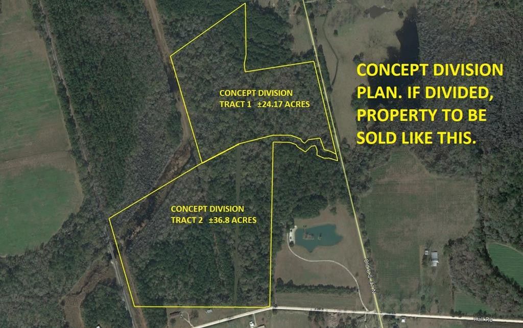 36.8 Acres, 36.8 AC Hall Road, Hahira, GA 31632 Land and Farm