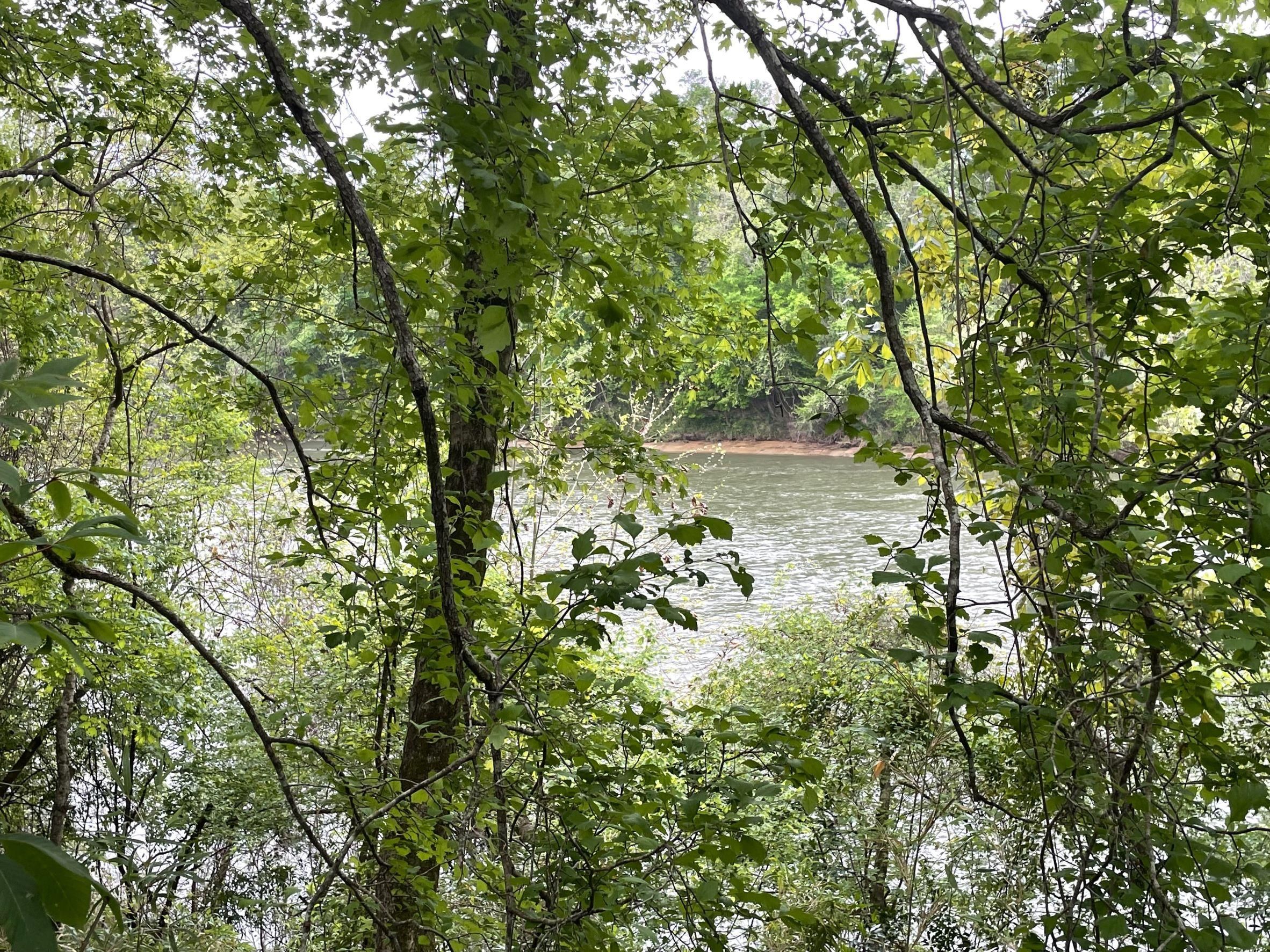 1799 Lower River Road, Blakely, GA 39823 Land and Farm