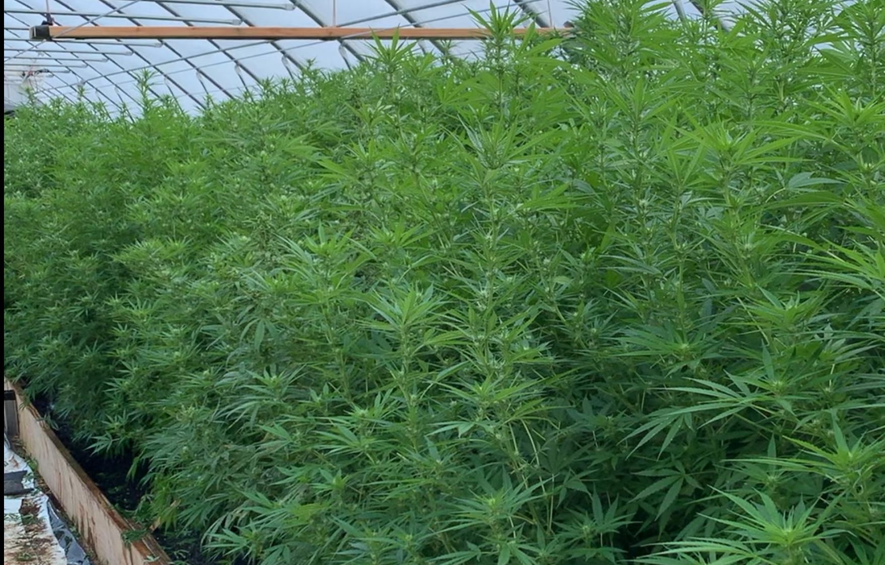 48430 S CR. 173, Lot #WP001, Shattuck, OK 73858 | Land and Farm