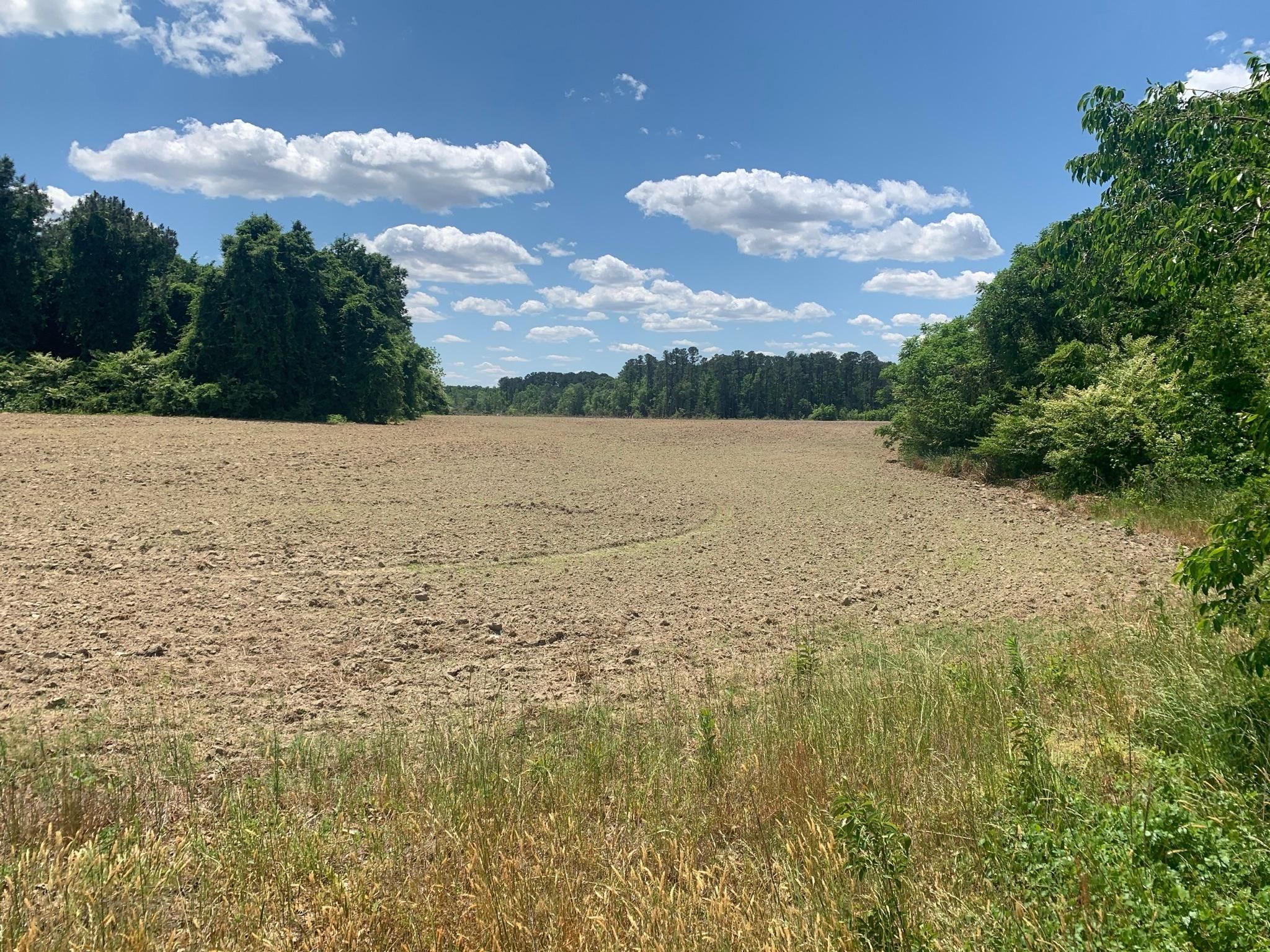 Off of Bethlehem Road, Lot WP0001, Rocky Mount, NC 27803 Land and Farm