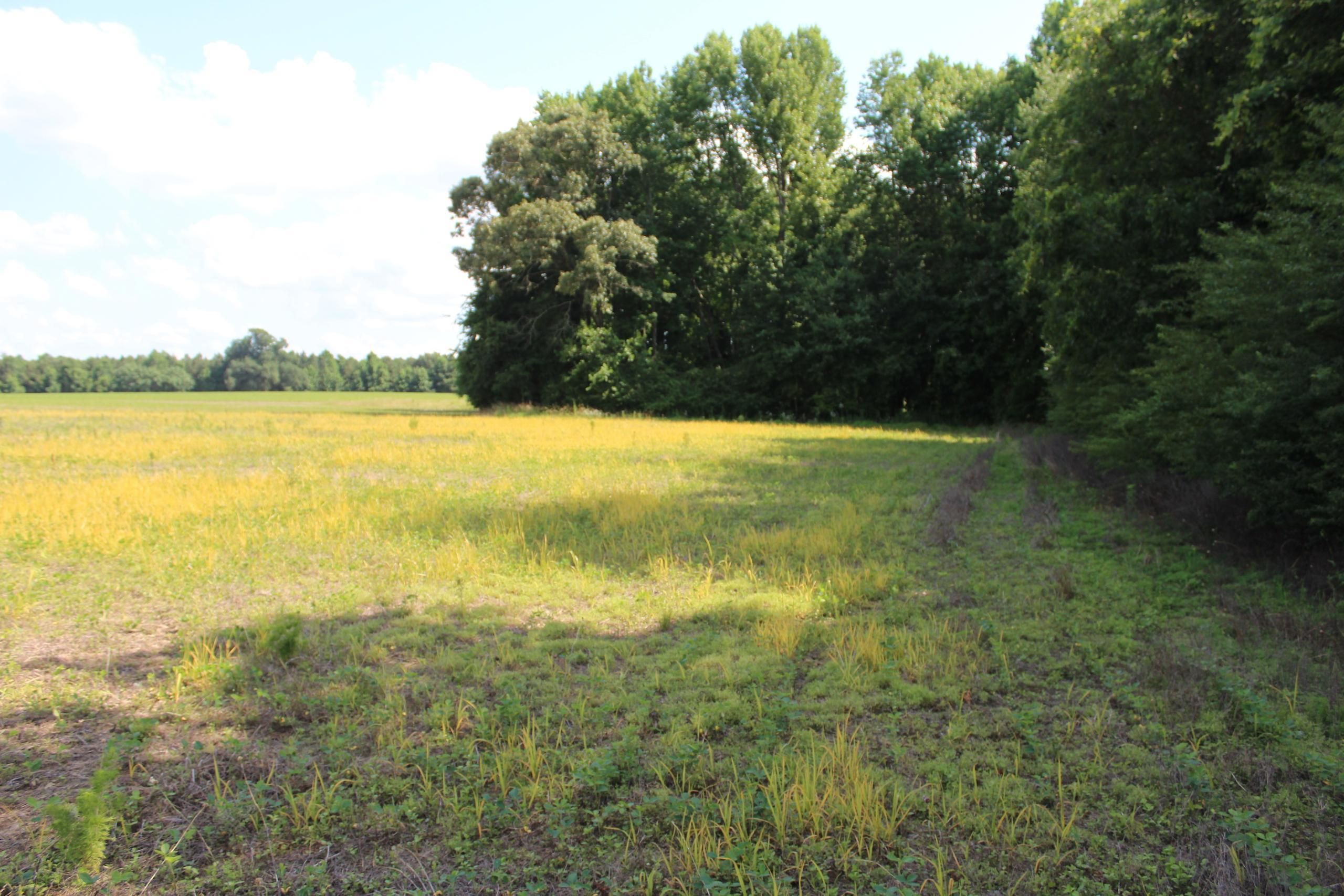 Off of South Wakefield St, Lot WP0001, Zebulon, NC 27597 Land and Farm