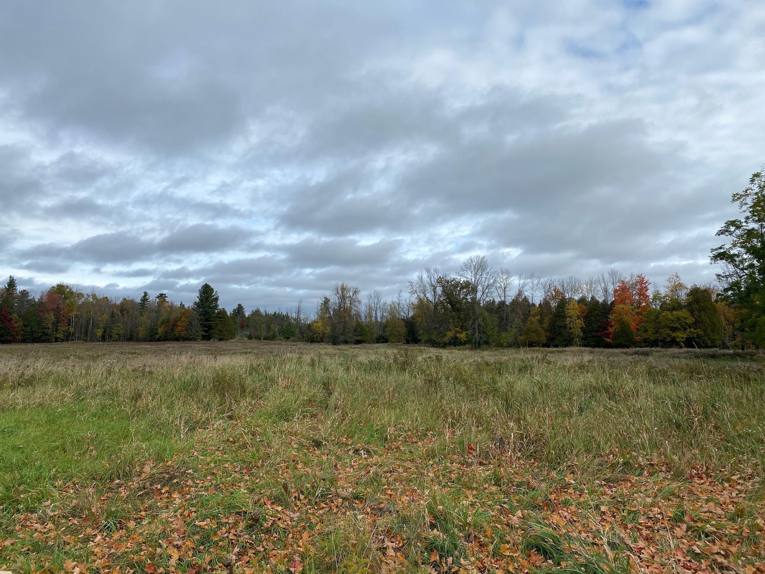 137.79 Acres, 958 County Route 31, Lot WP001, Waddington, NY 13660 Land and Farm