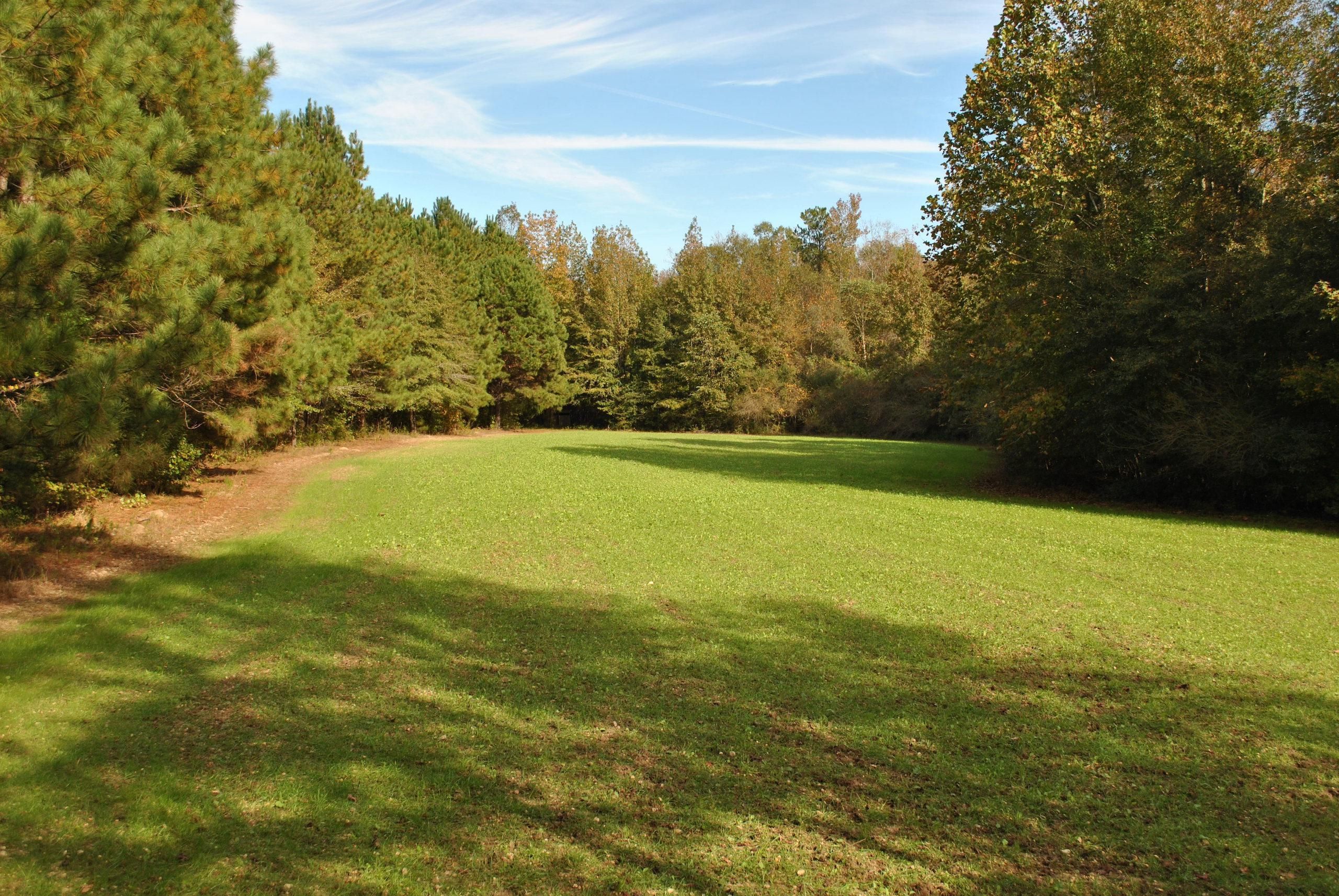 White Road, LotWP001, Beaverton, AL 35544 Land and Farm