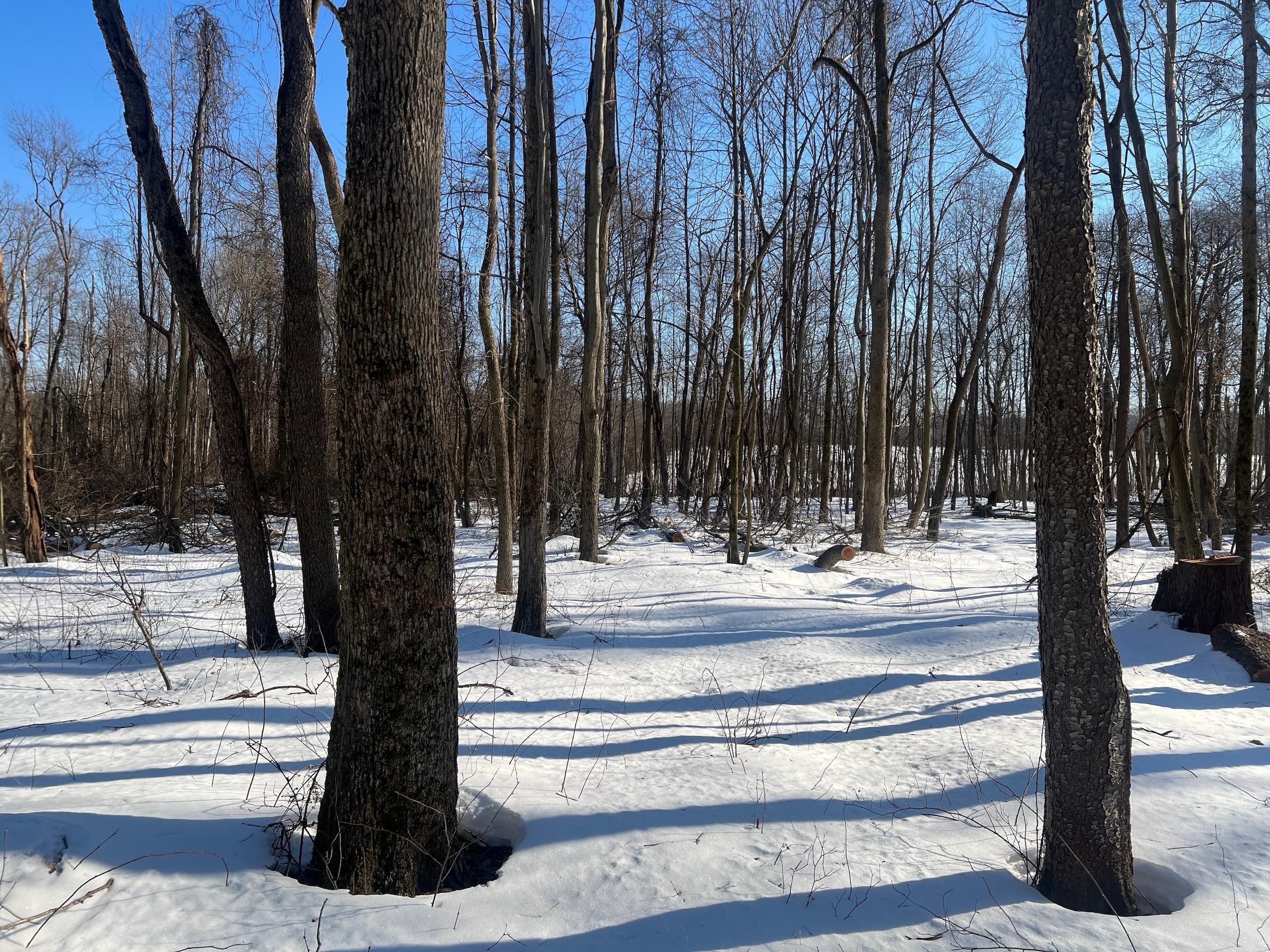 13.89 Acres, 00 Waterloo Rd, Lot WP001, Utica, PA 16362 Land and Farm