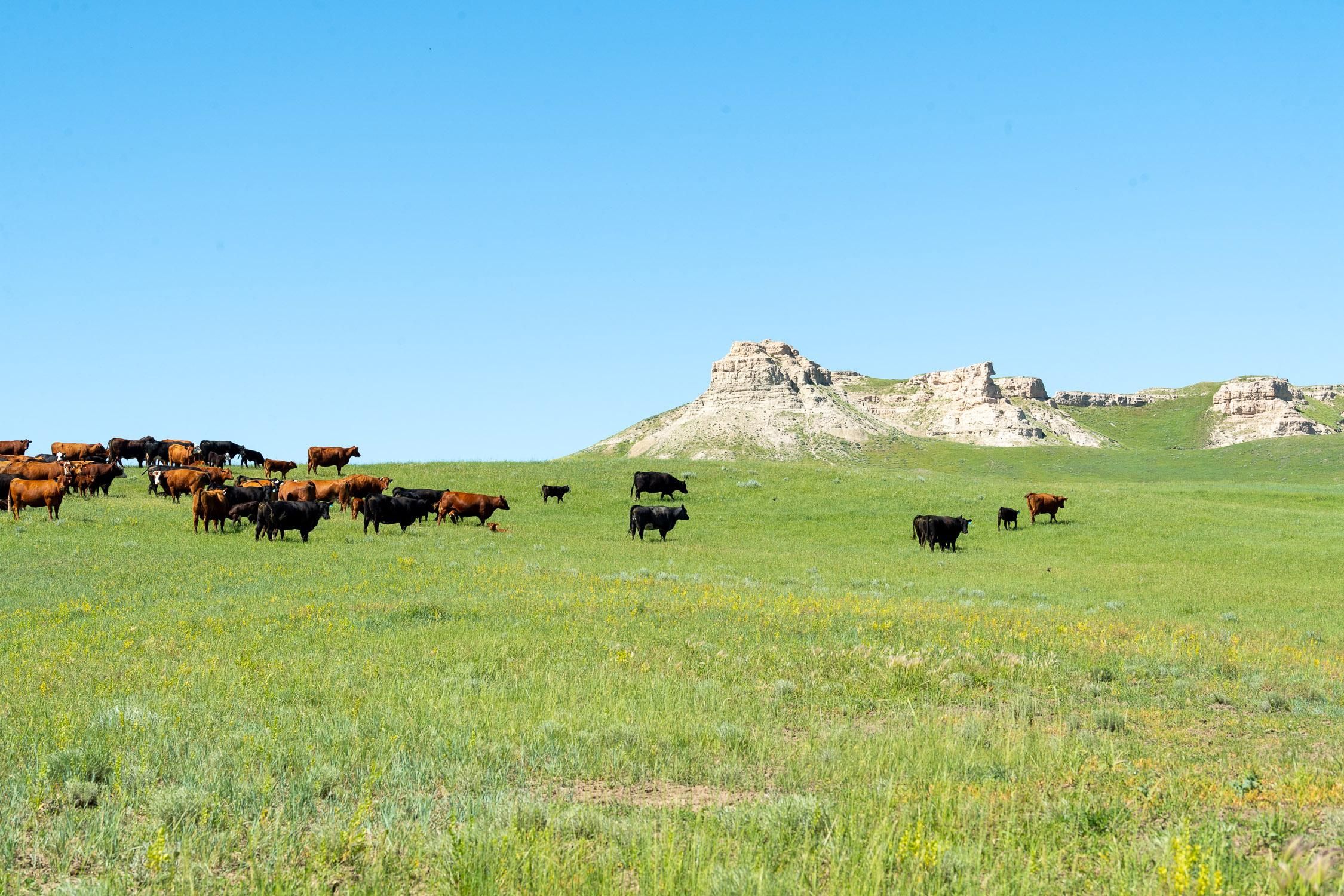 10,201 acres in Alzada, MT, 59311 | Land and Farm