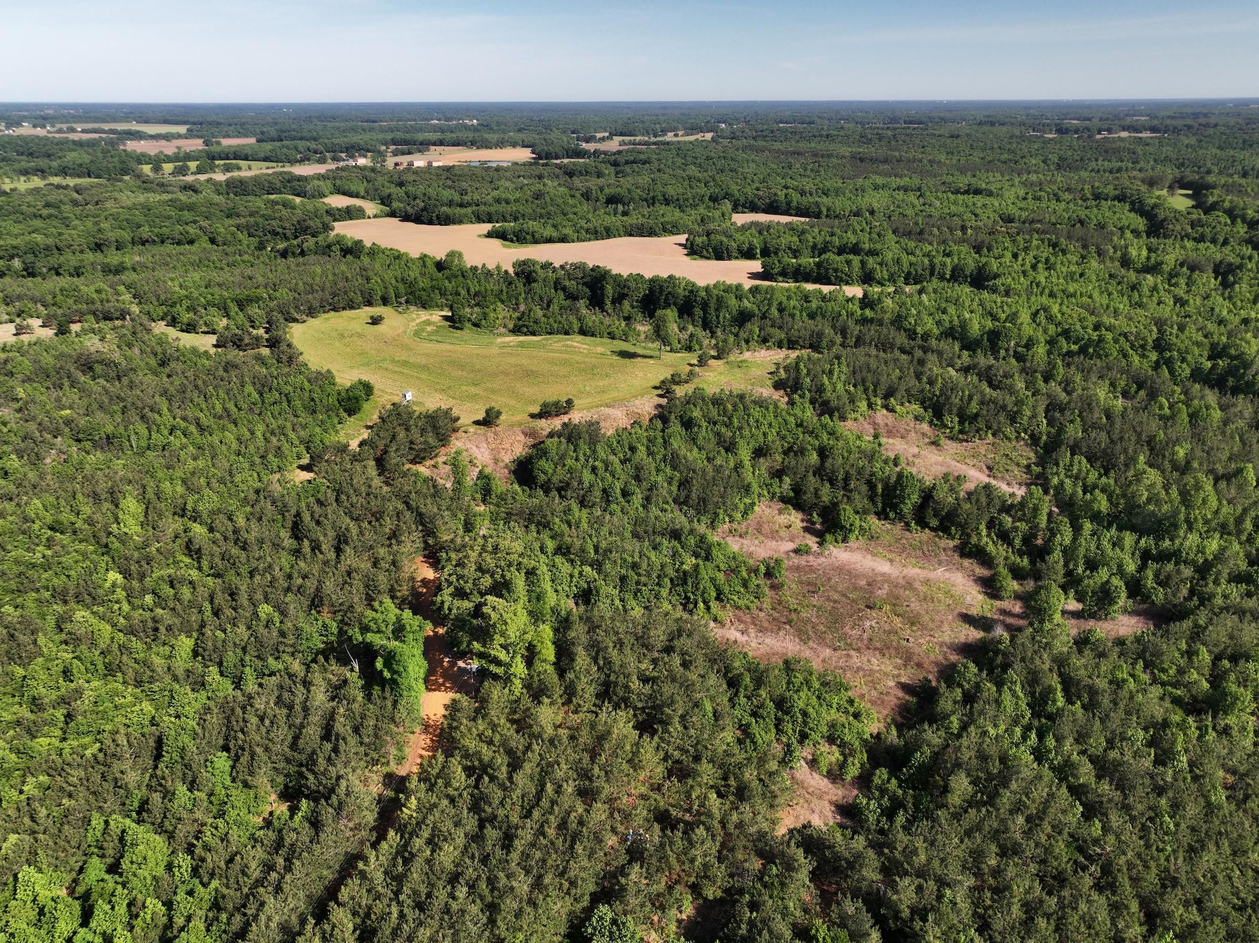 228 Acres, 795 Mount Sinai Road, Puryear, TN 38251 Land and Farm