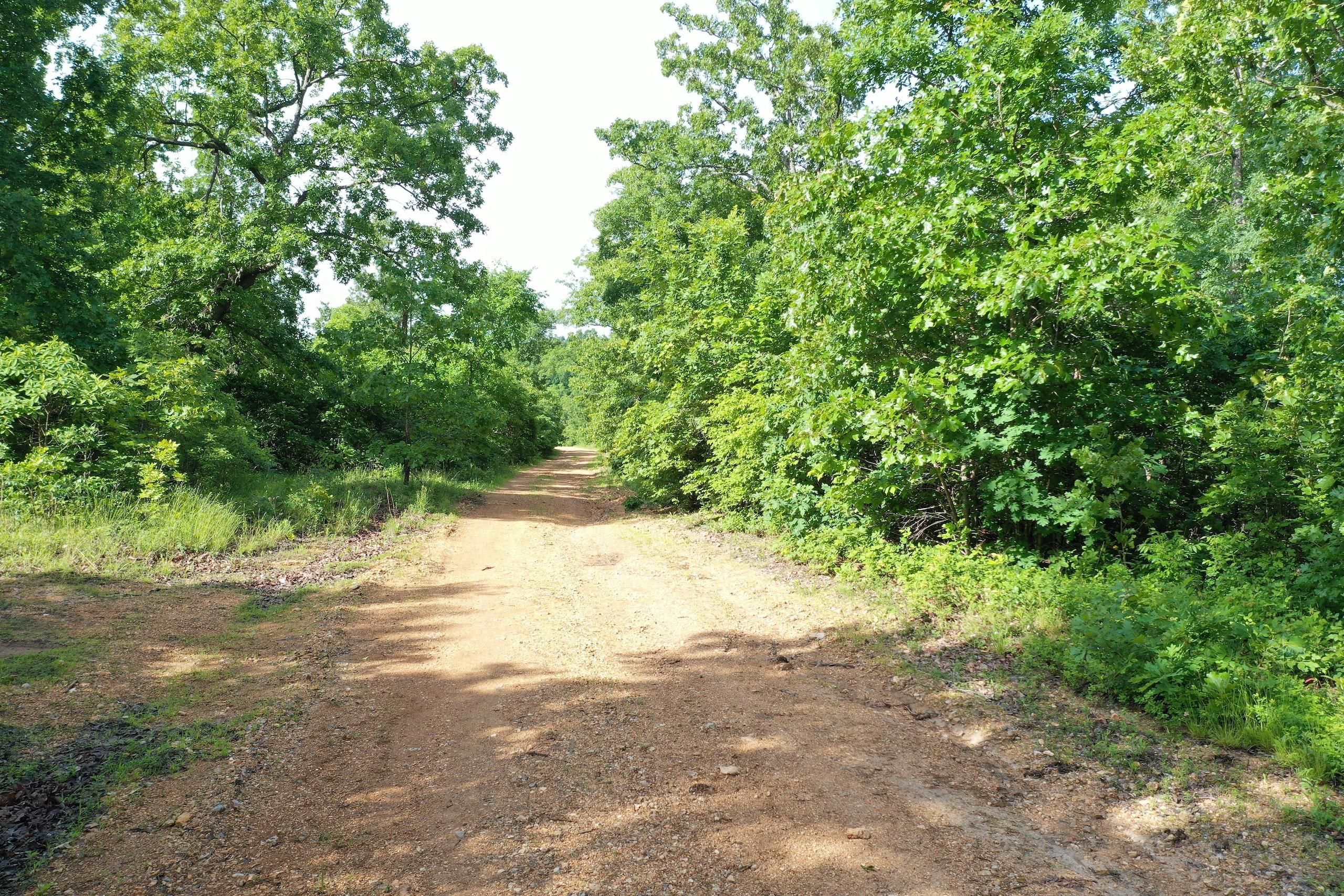 20 Acres, Carp Lake Road, LotWP001, Richwoods, MO 63071 Land and Farm