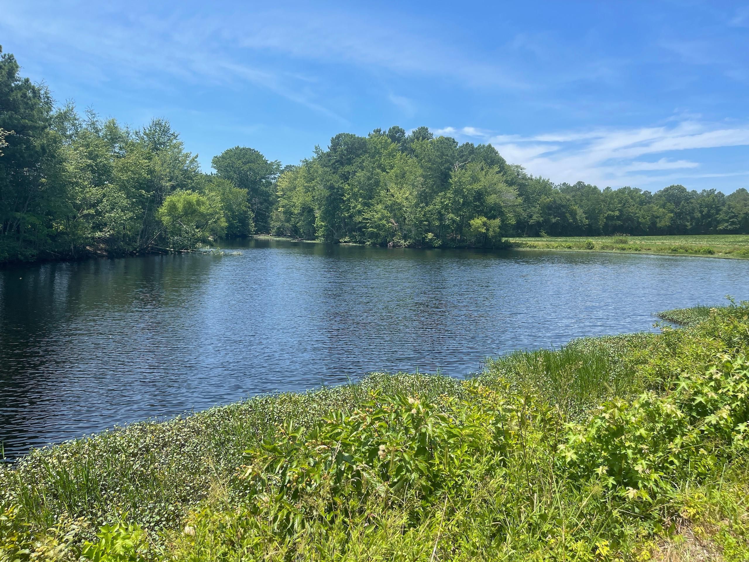 176.77 Acres, Off South Halifax Road, Rocky Mount, NC 27803 Land and Farm