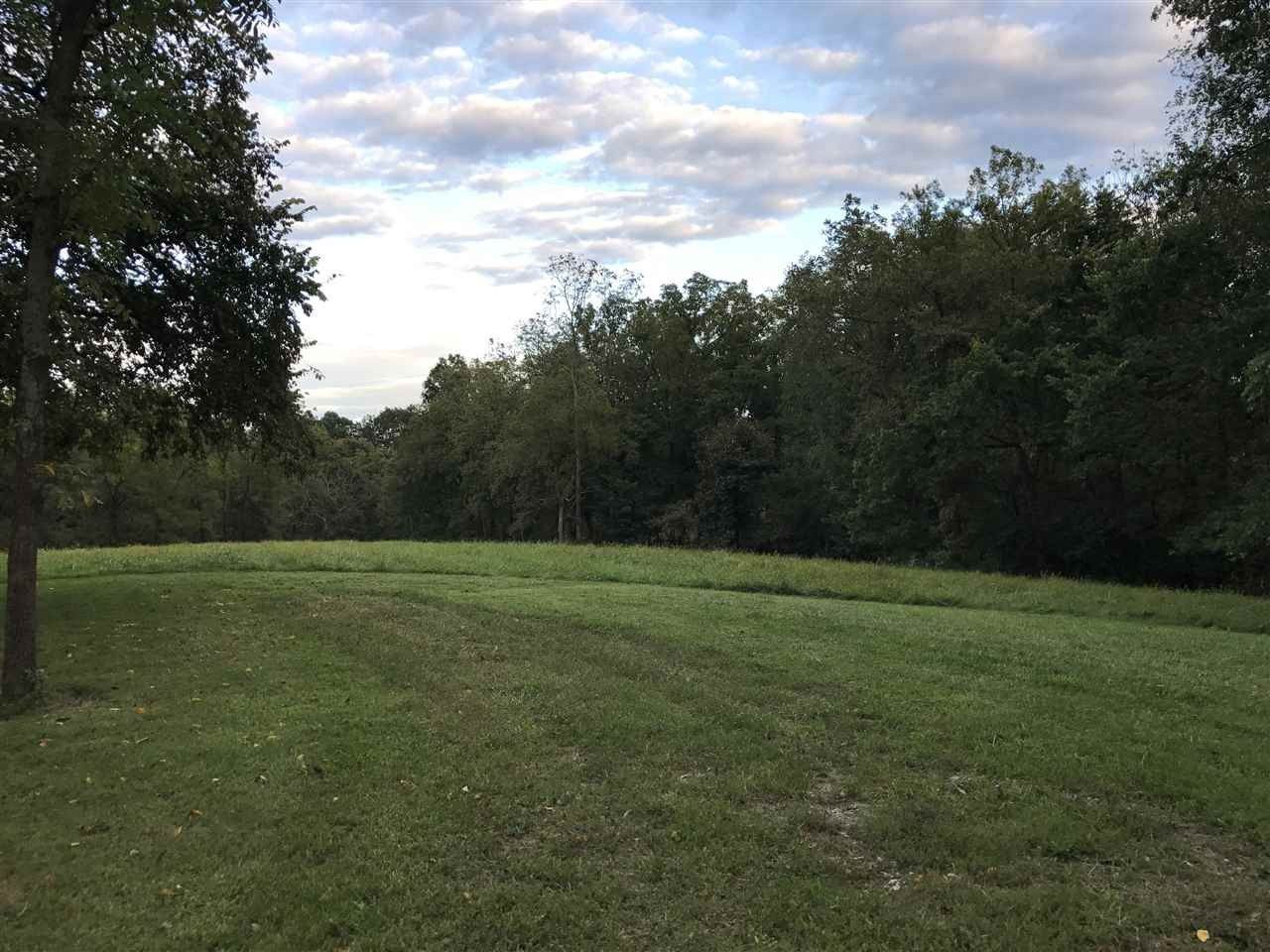 15.35 Acres, 0 Violet Rd 16+/ Acres, Crittenden, KY 41030 Land and Farm