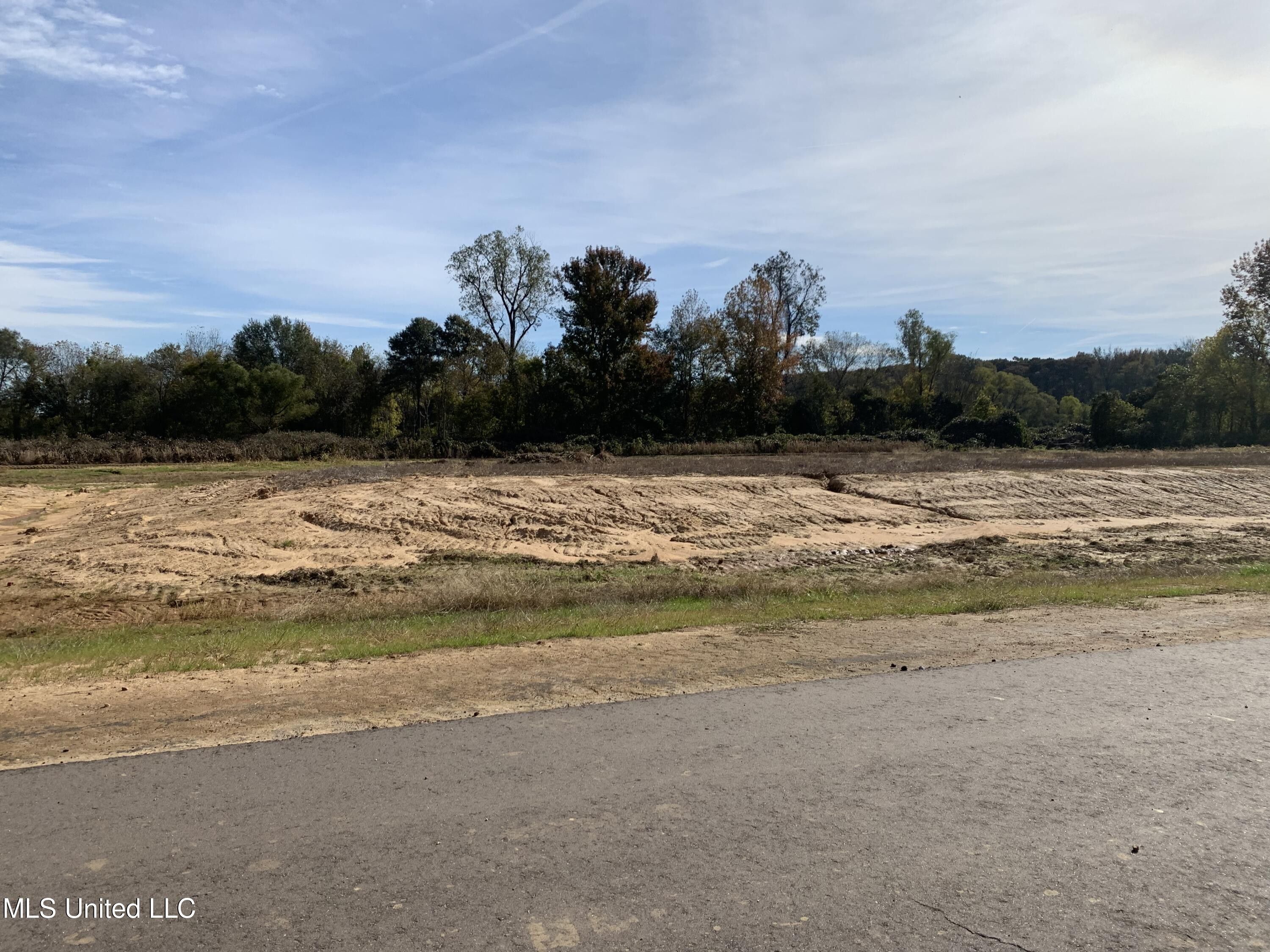 1.64 Acres, 78 Pebble Cove South, Byhalia, MS 38611 Land and Farm