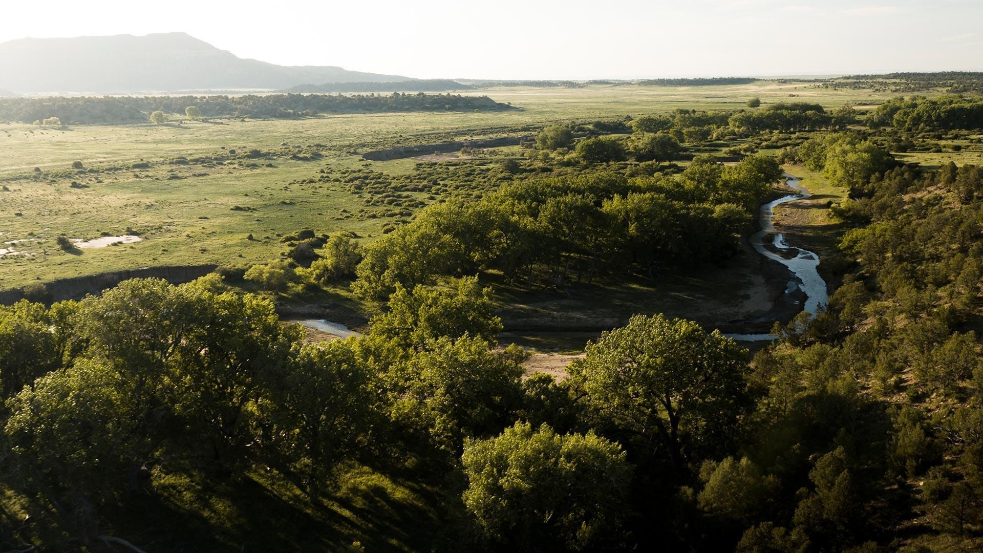 50,039 acres in Cimarron, NM, 87714 Land and Farm