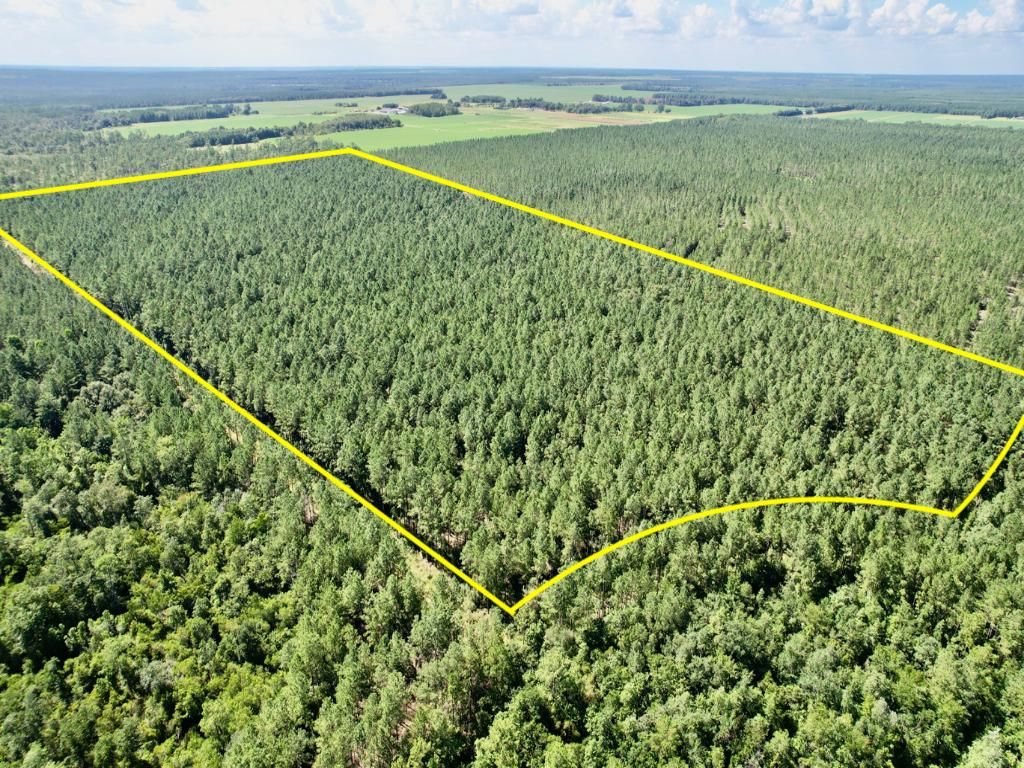 60.82 Acres, Three Hollow Road, Jay, FL 32565 Land and Farm