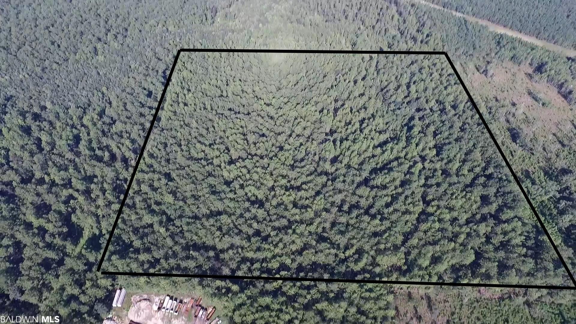 40 Acres, 0 N Highway 43, Axis, AL 36505 Land and Farm