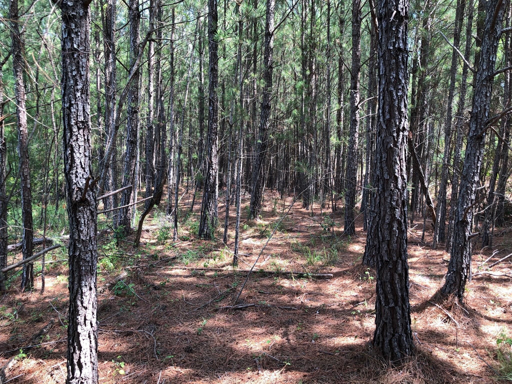 1,718 Acres, Sparta, GA 31087 Land and Farm