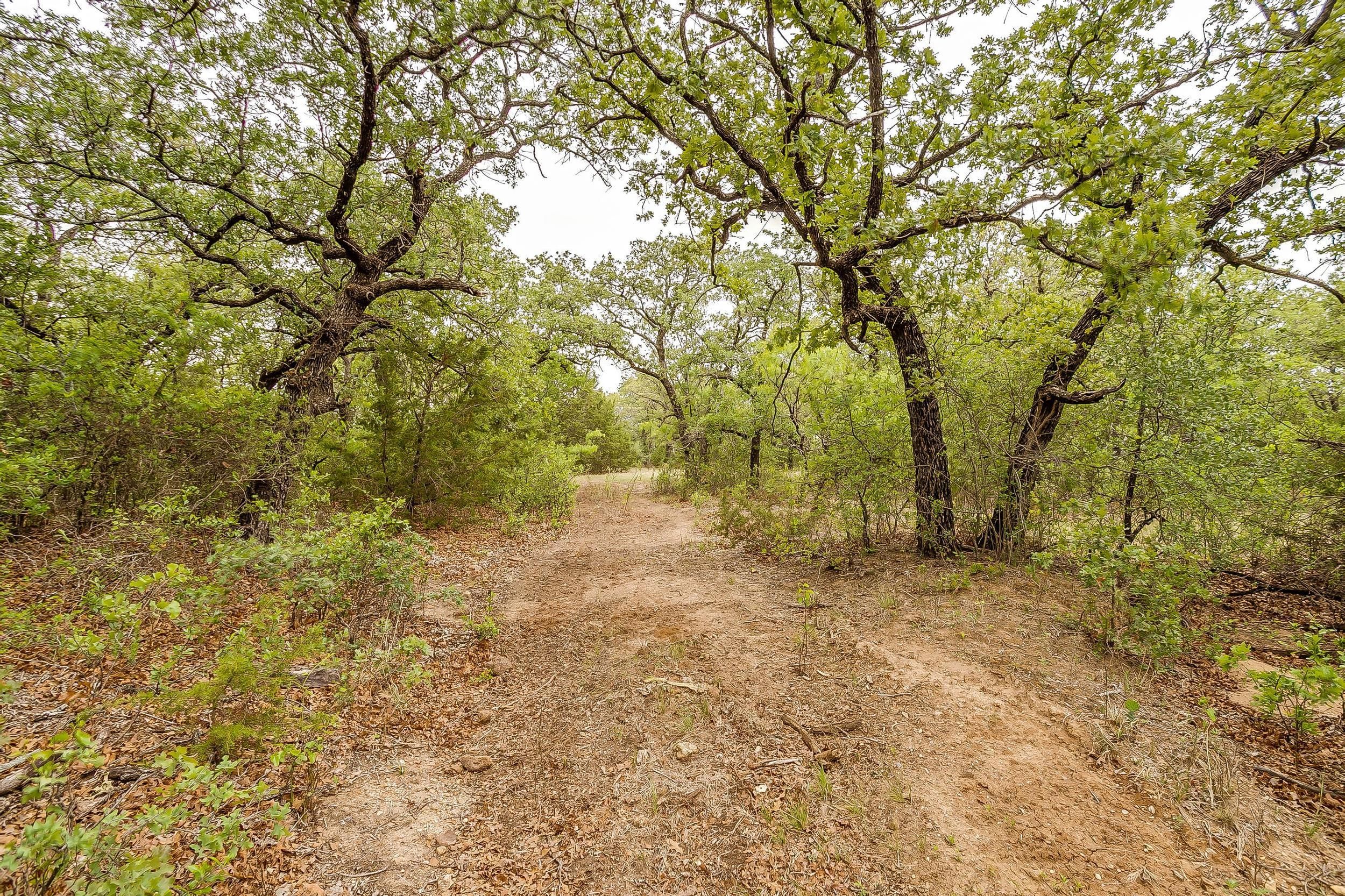 135 Acres, County Road 125, Mingus, TX 76453 Land and Farm