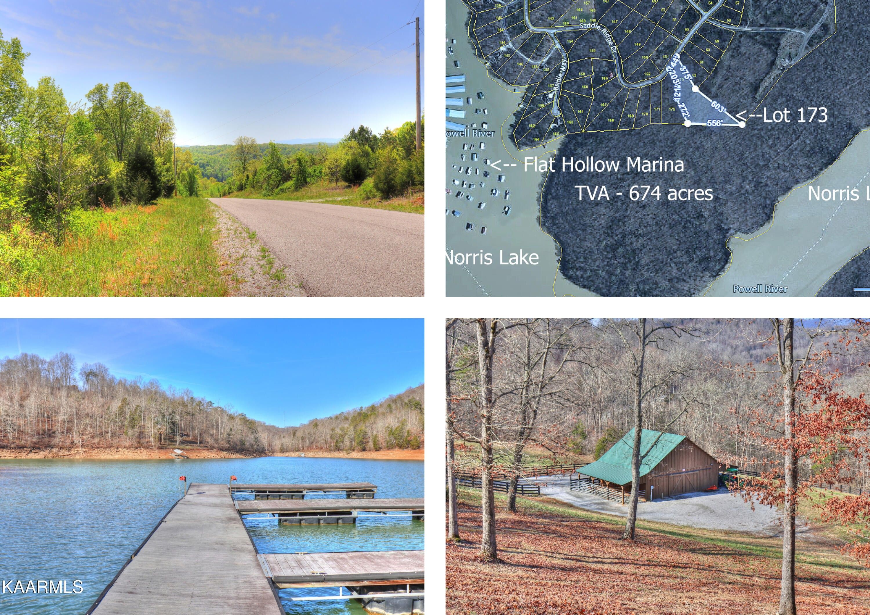 4.14 Acres, Lot 173 Saddleridge Drive, Speedwell, TN 37870 Land and Farm