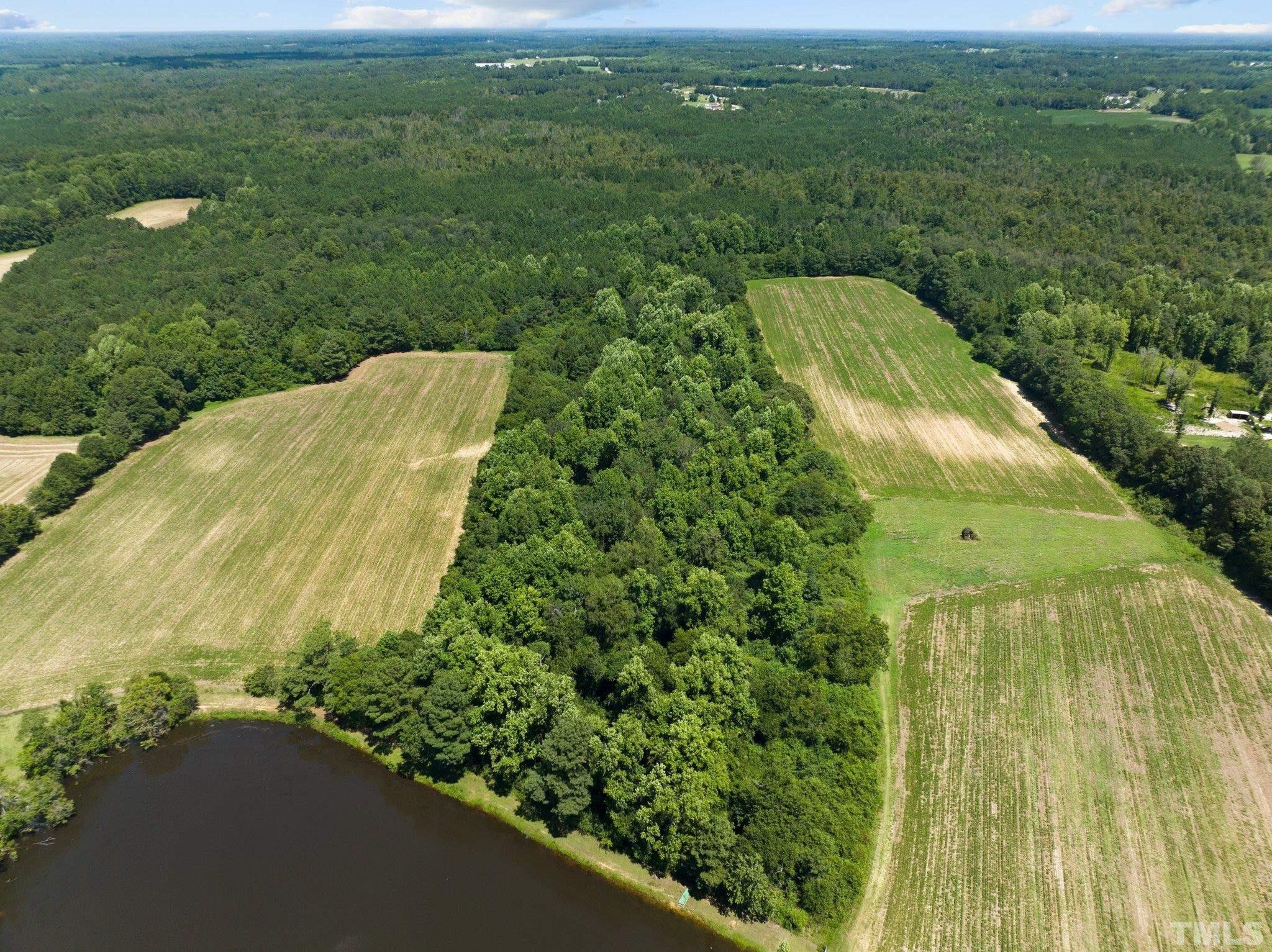 45 Acres, 0 Mann Road, Coats, NC 27521 Land and Farm
