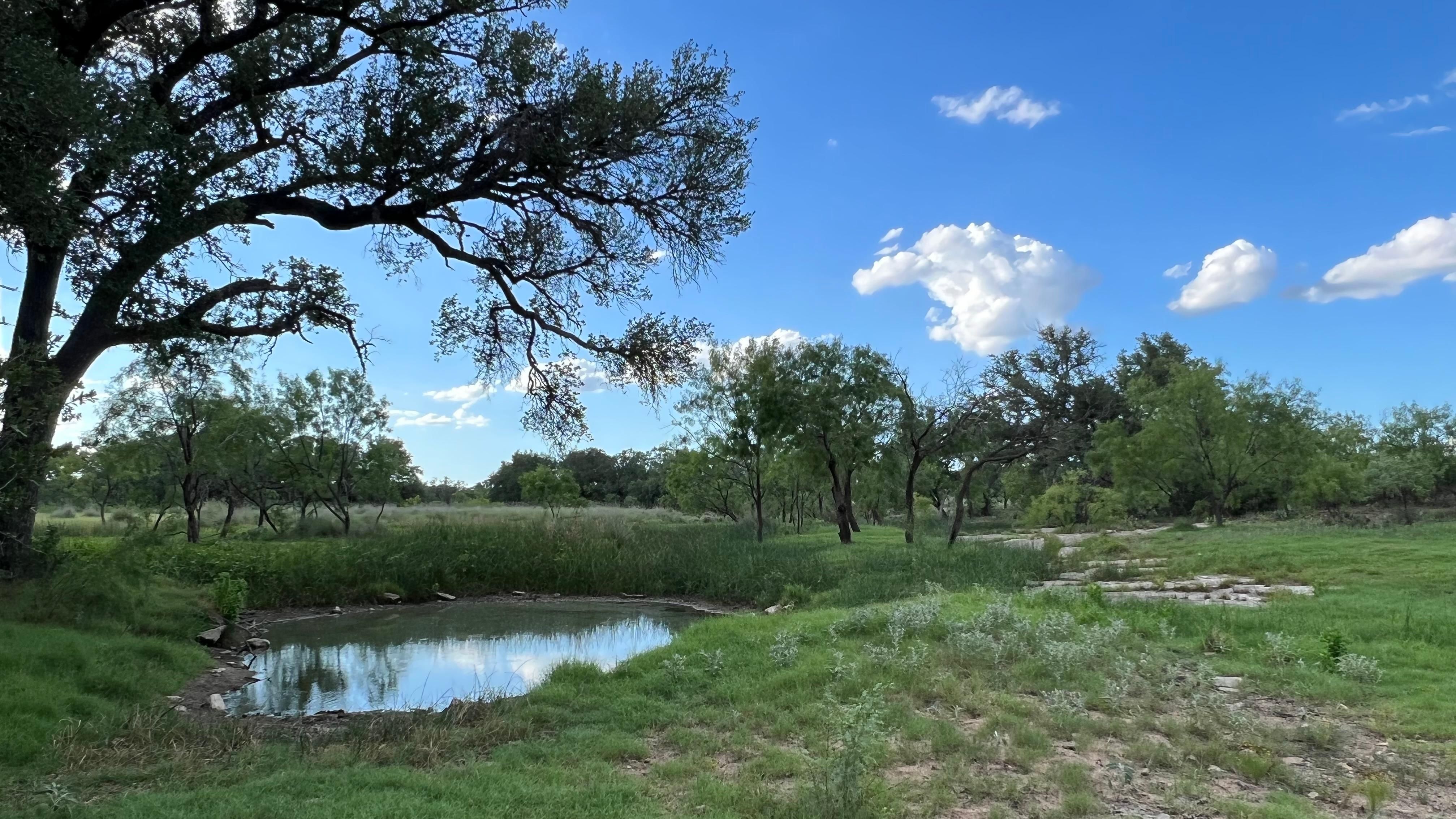 95.6 Acres, Art Hedwigs Hill Road, Mason, TX 76856 Land and Farm