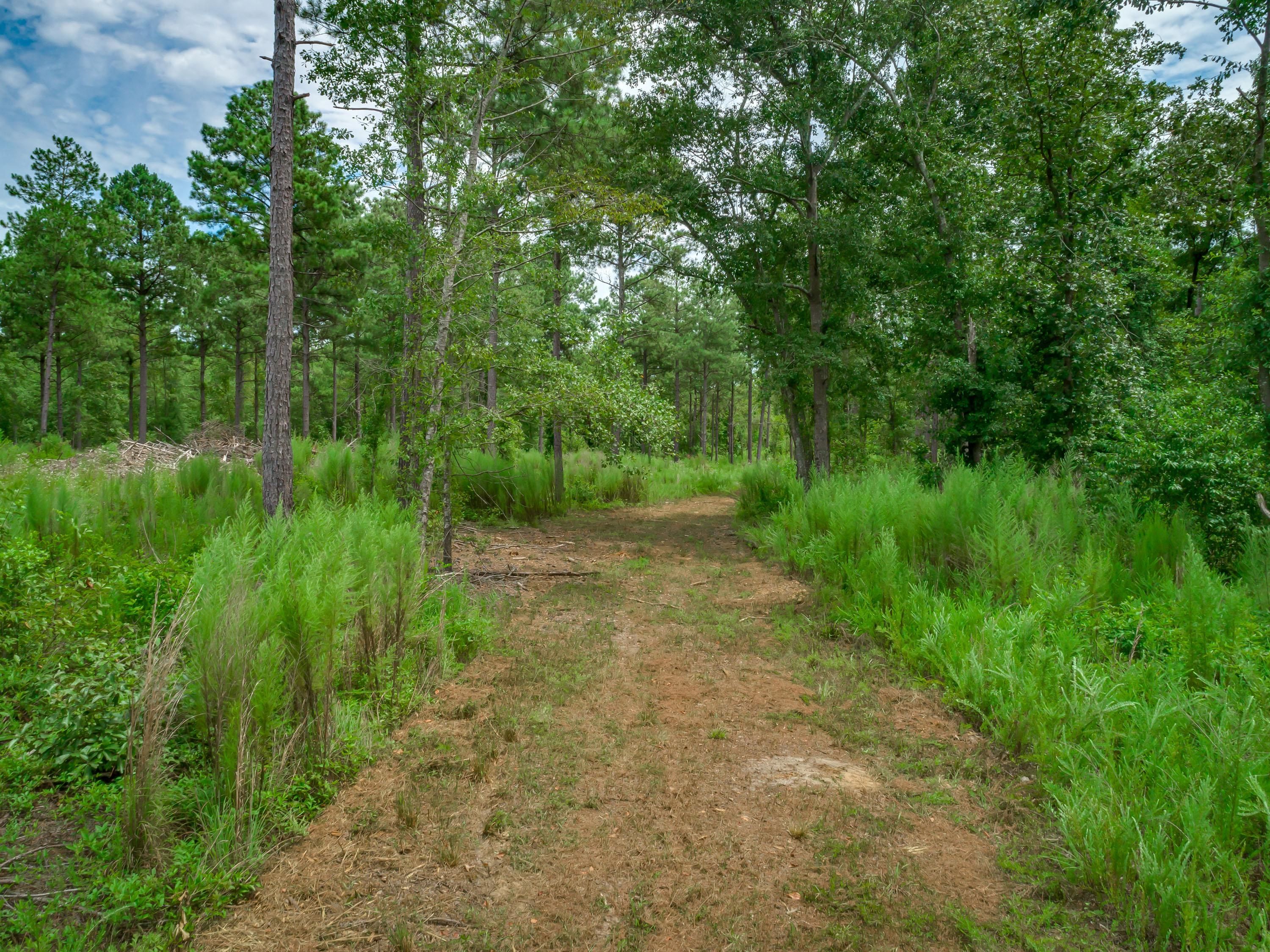 Cassidy Road, Gaston, SC 29053 Land and Farm