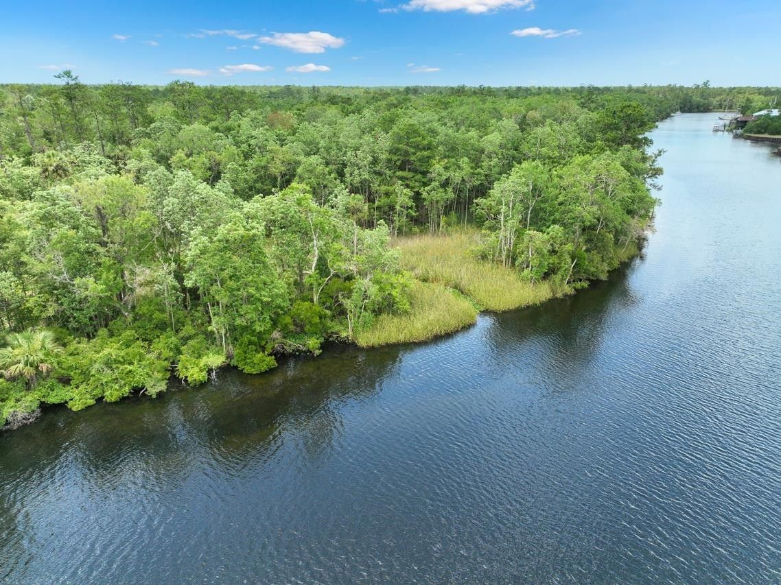 48.01 Acres, Lighthouse Road, Crawfordville, FL 32327 Land and Farm
