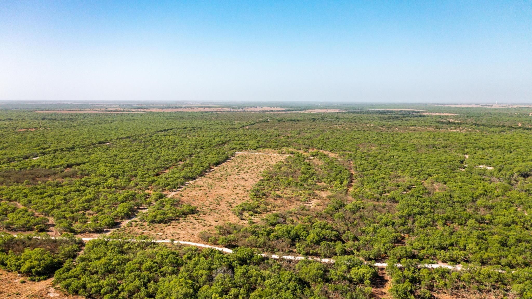 52 Acres, Three Rivers, TX 78071 Land and Farm