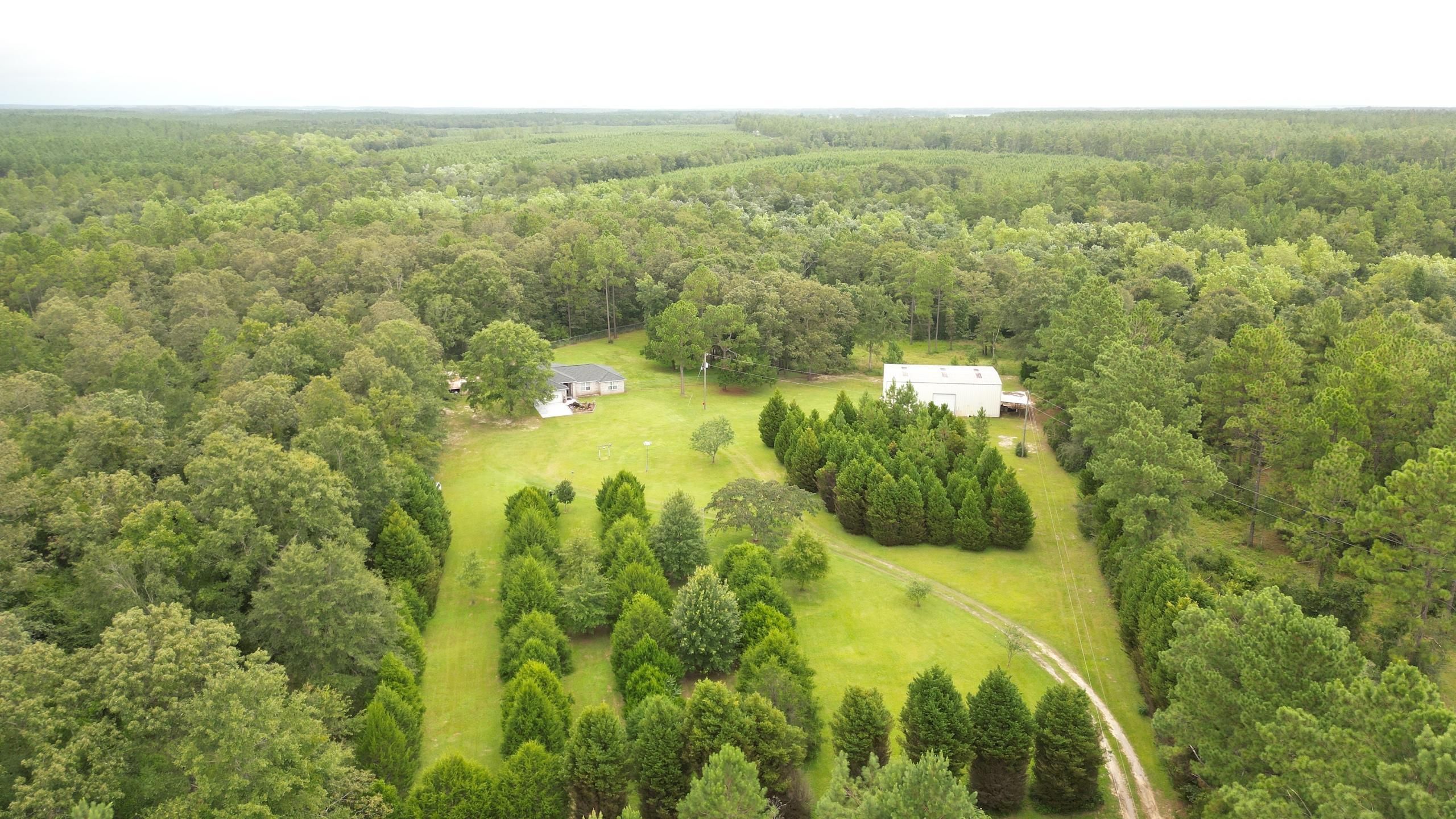 20 Acres, 3899 Highway 97, Molino, FL 32577 Land and Farm