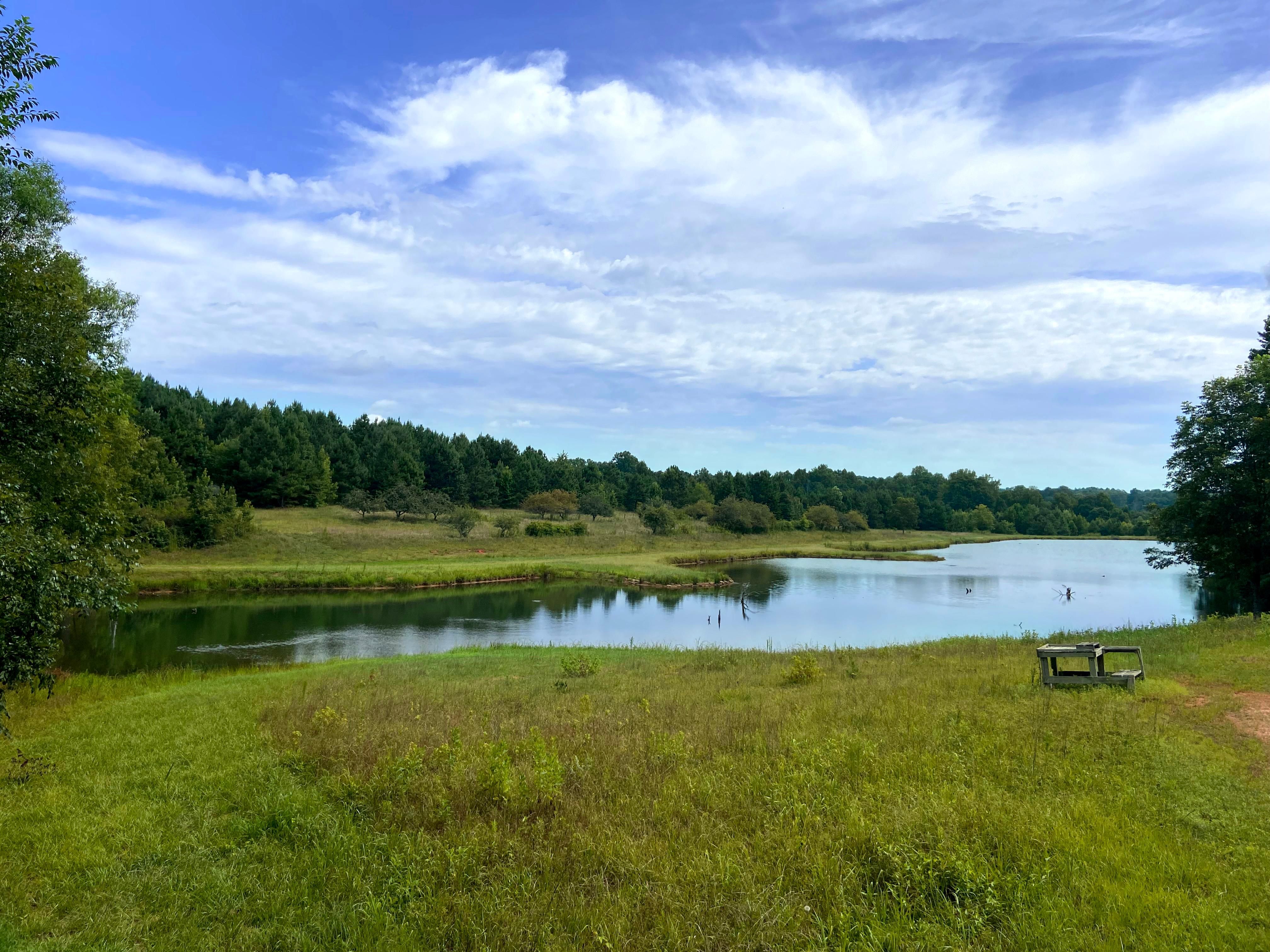 Ledbetter Road, Travelers Rest, SC 29690 MLS 1479562 Land and Farm