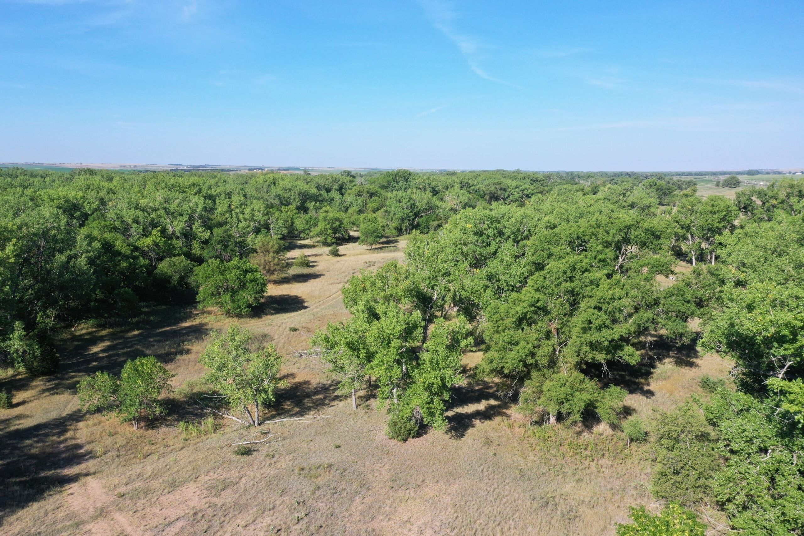 59.36 Acres, Tract Roscoe, Roscoe, NE 69153 Land and Farm