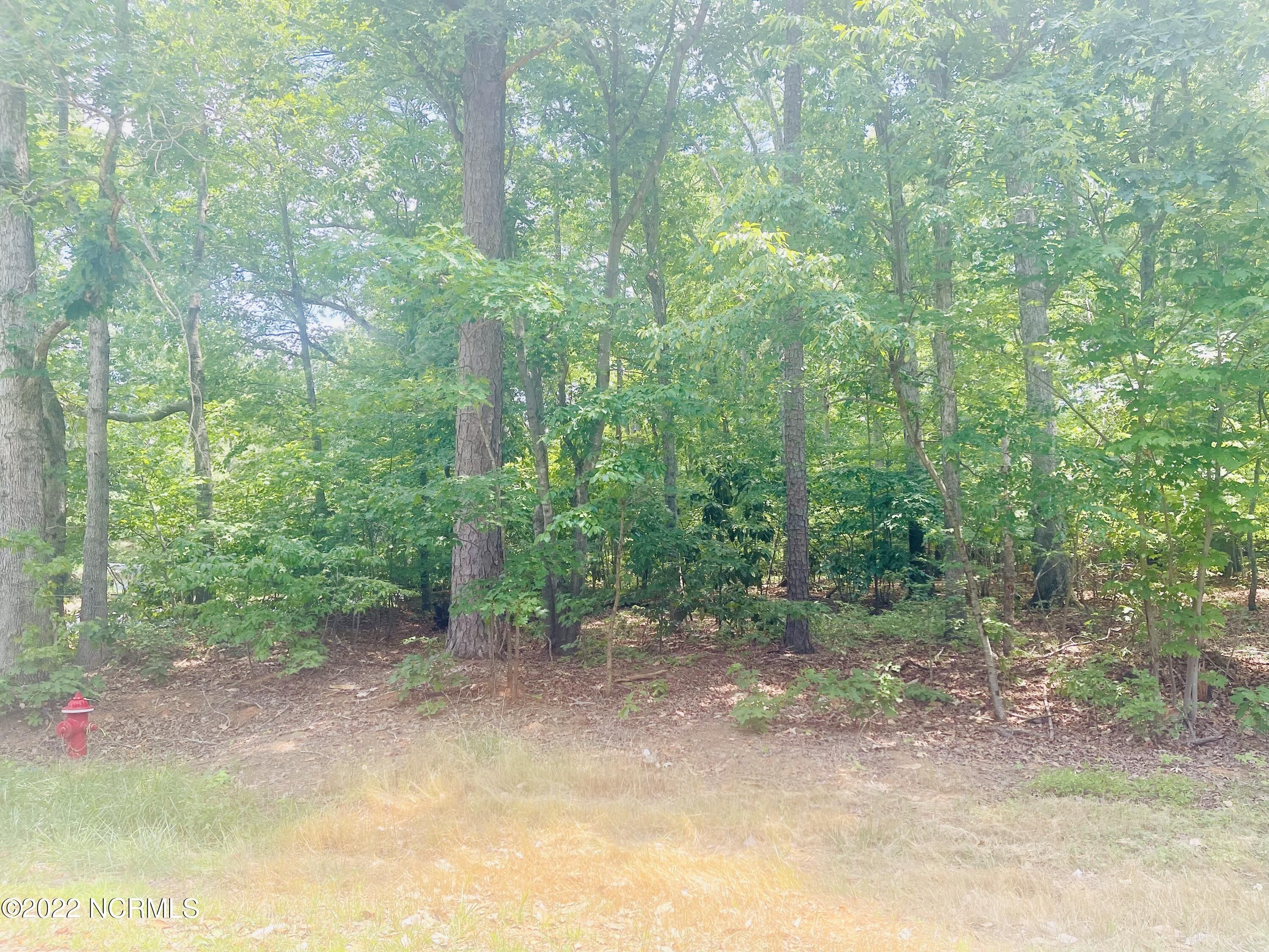 0.47 Acres, Lot 7477 Plank Road, Robbins, NC 27325 Land and Farm