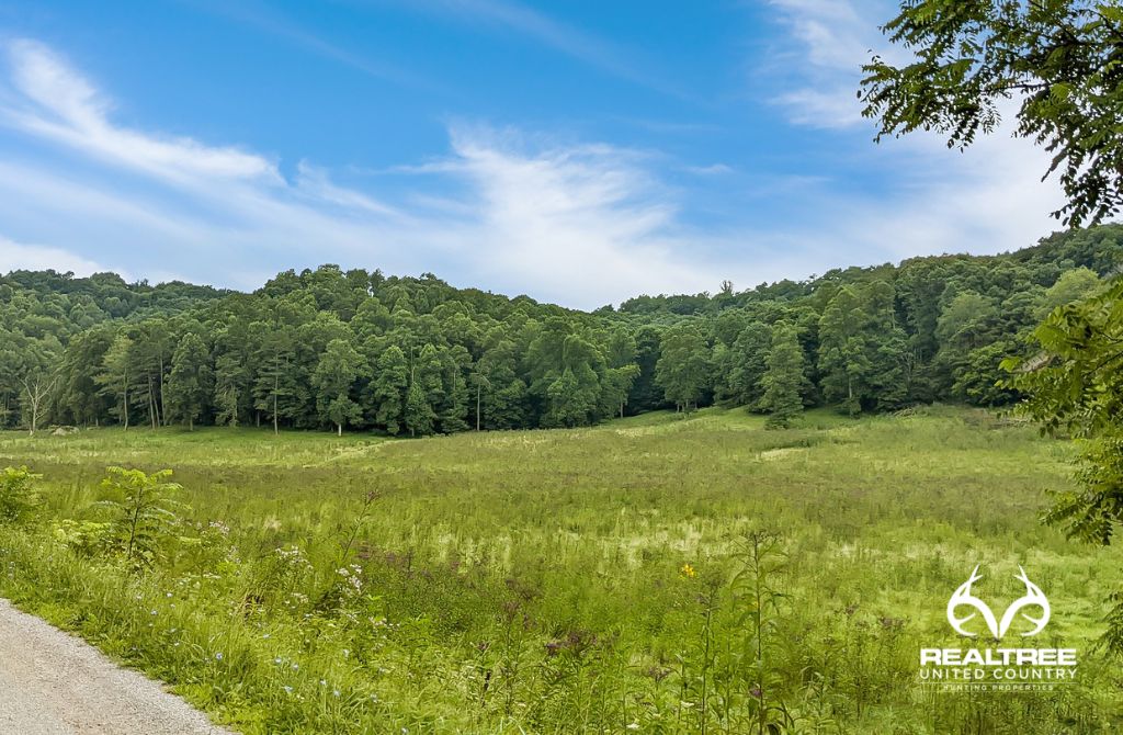 24.51 Acres, Erwin Hollow Road, Jackson, OH 45640 Land and Farm