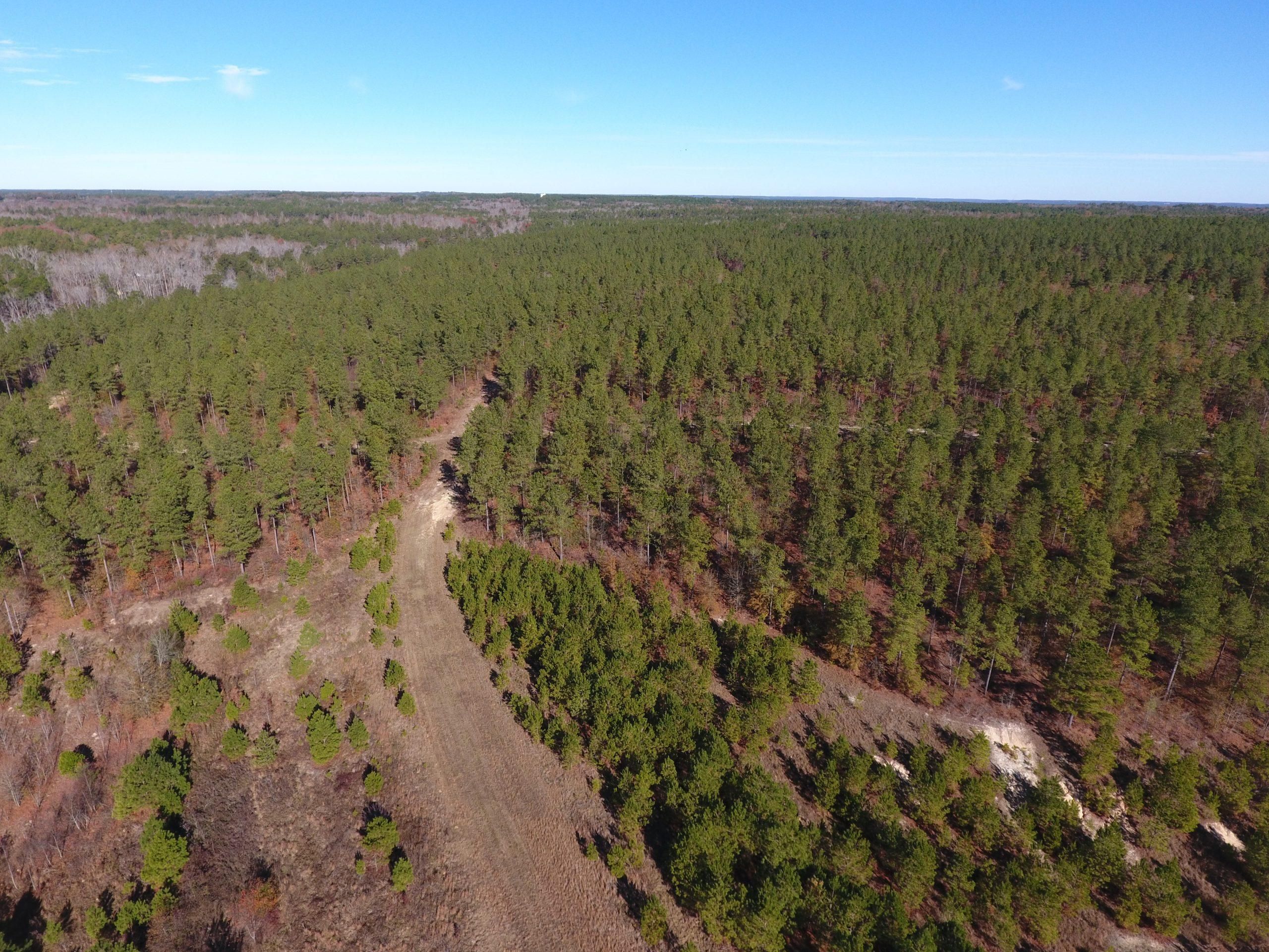 241 Acres, Aiken County, South Carolina, Aiken, SC 29081 Land and Farm