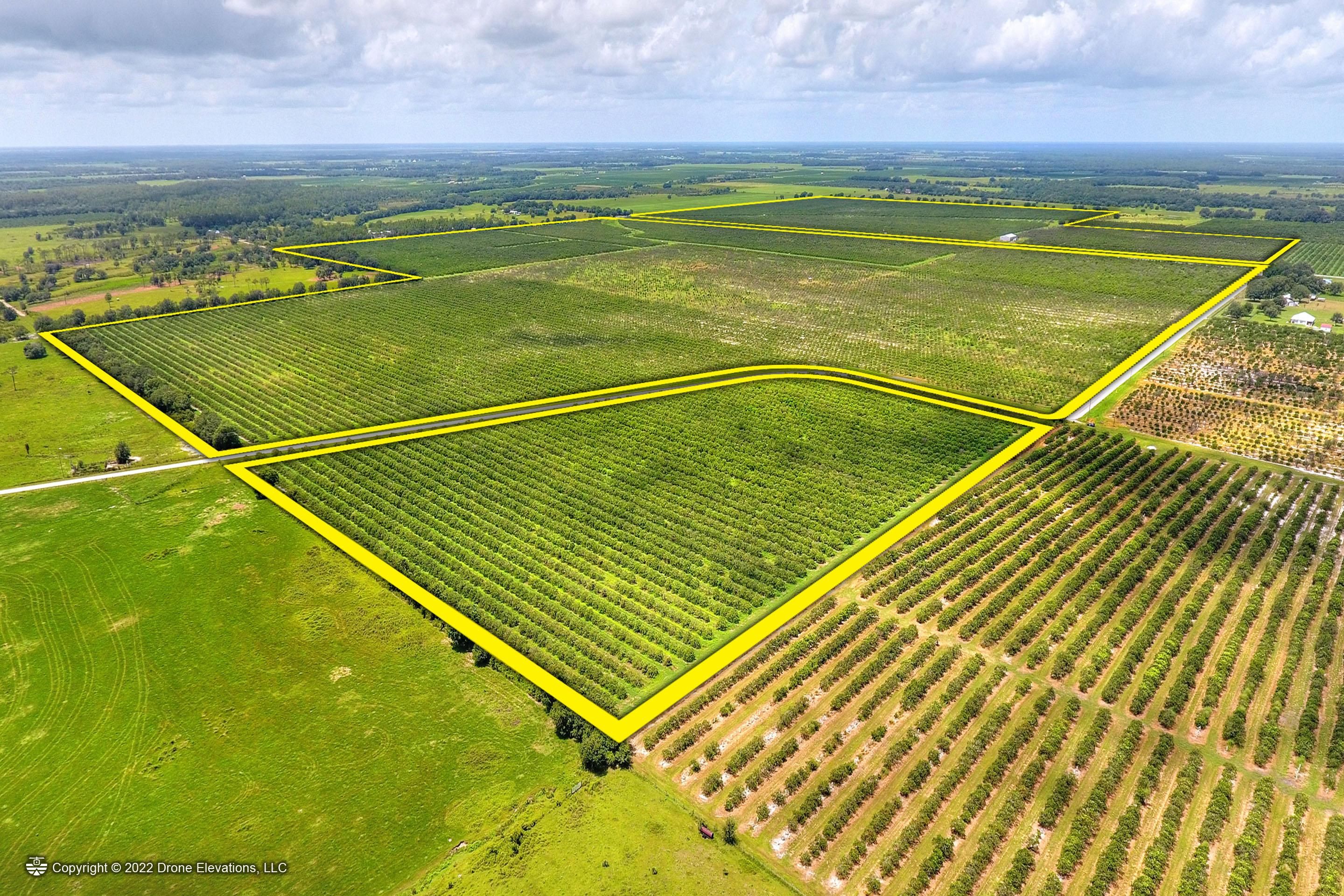 5015 Fish Branch Rd, Zolfo Springs, FL 33890 Land and Farm