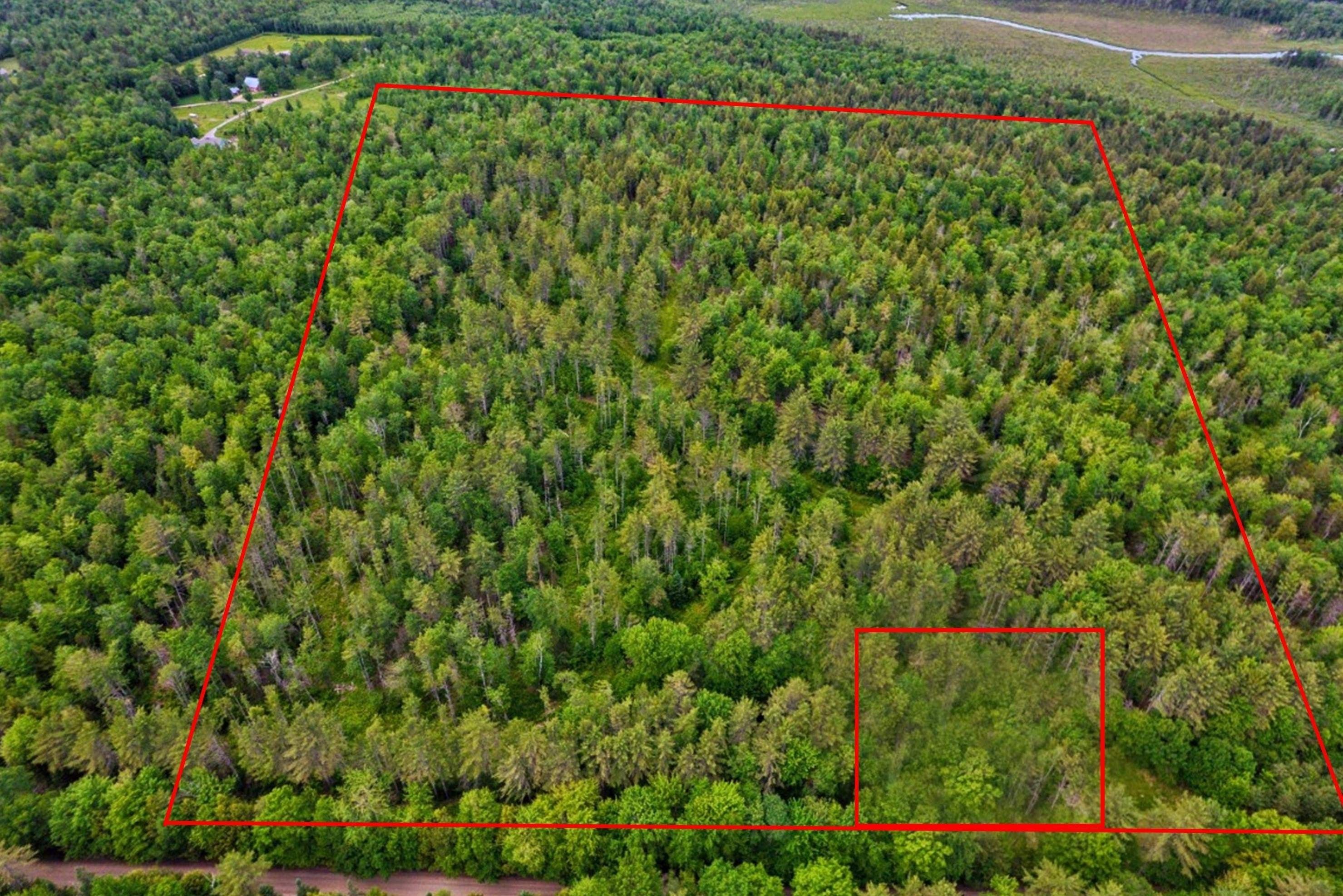50 Acres, 00 Windmill Road, Campton, NH 03223 Land and Farm
