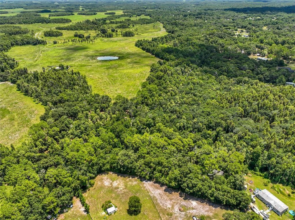 4.77 Acres, 0 COUNTRY HAVEN DRIVE, Lakeland, FL 33809 Land and Farm