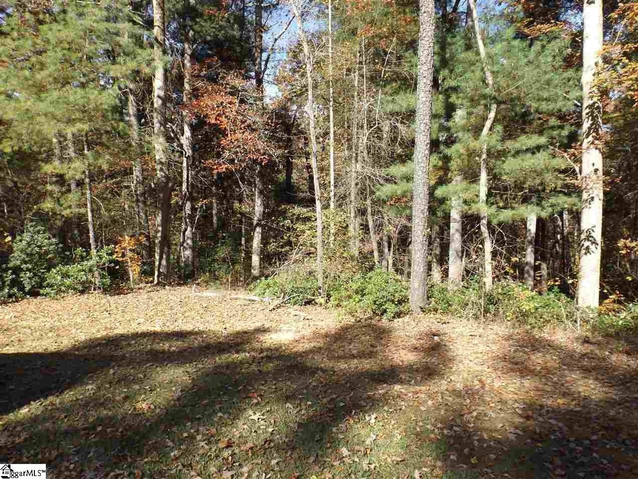 1.49 Acres, 128 Oolenoy Court, Pickens, SC 29671 Land and Farm