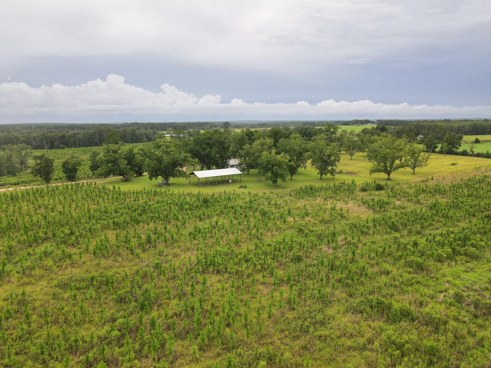 160 Acres, 1385 Underwood Road, Graceville, FL 32440 Land and Farm