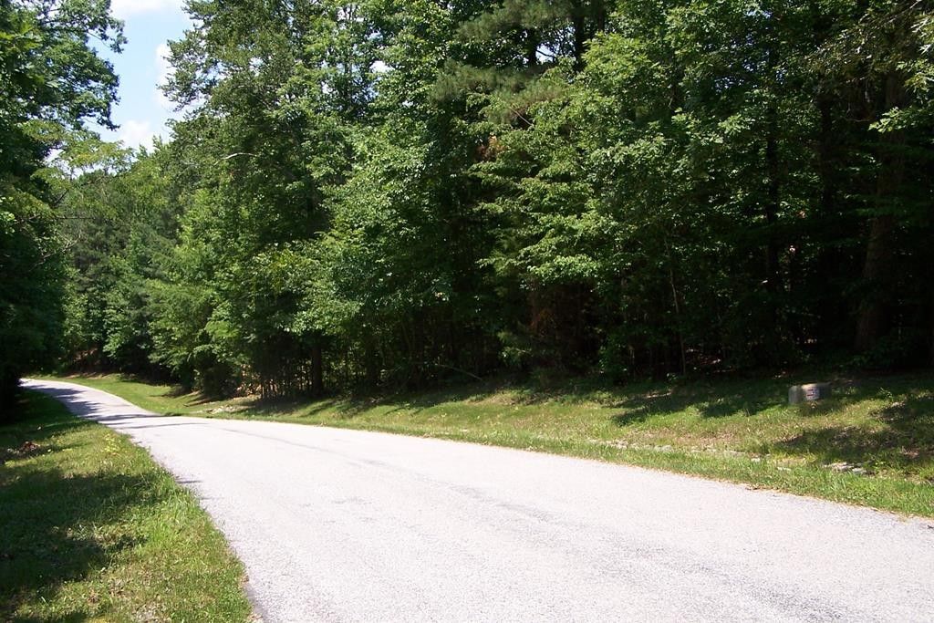 1.07 Acres, Lot 4 Buckhead Drive, Bracey, VA 23919 Land and Farm