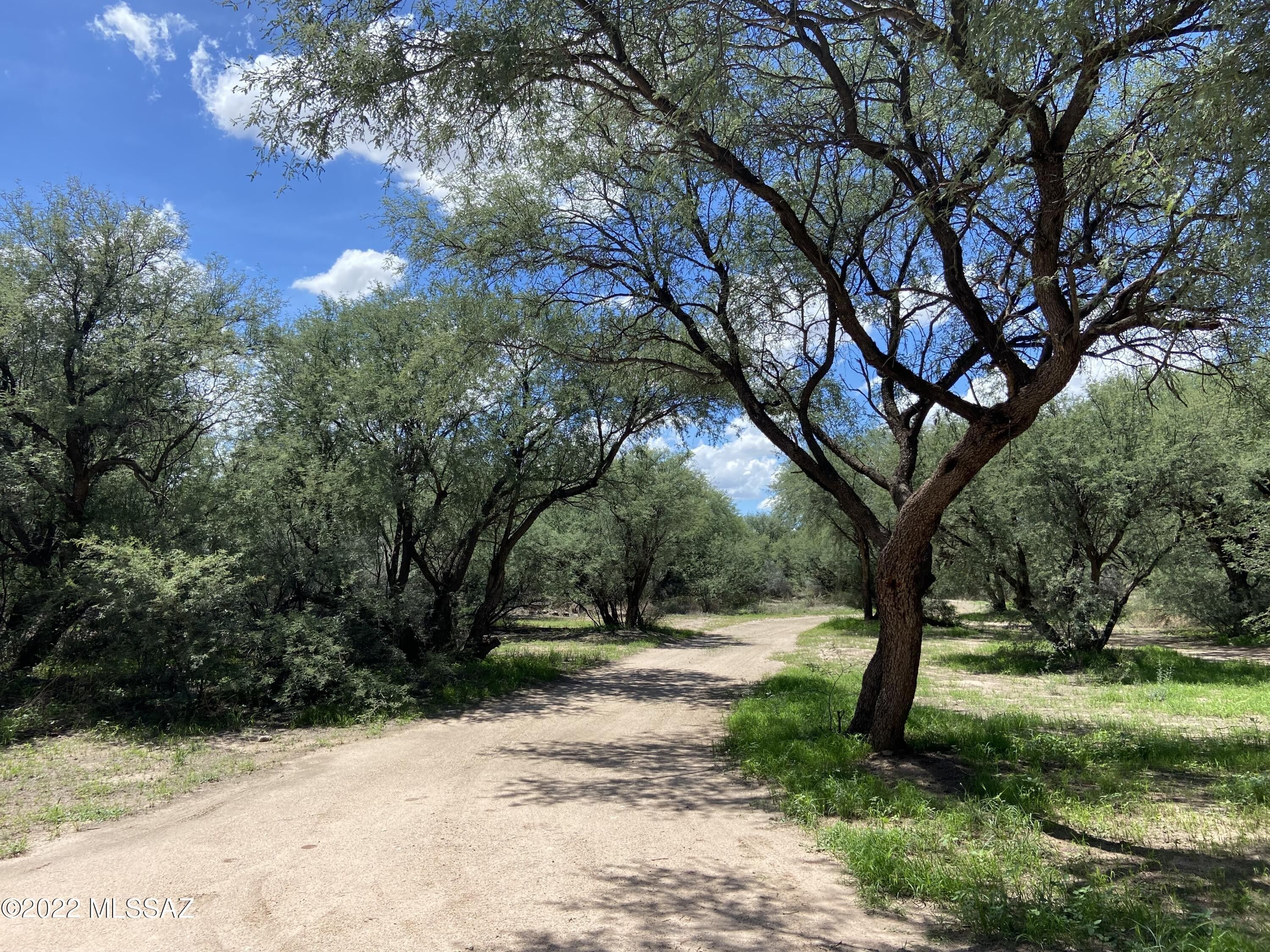 8 Acres, 730 N River Road, Saint David, AZ 85630 Land and Farm