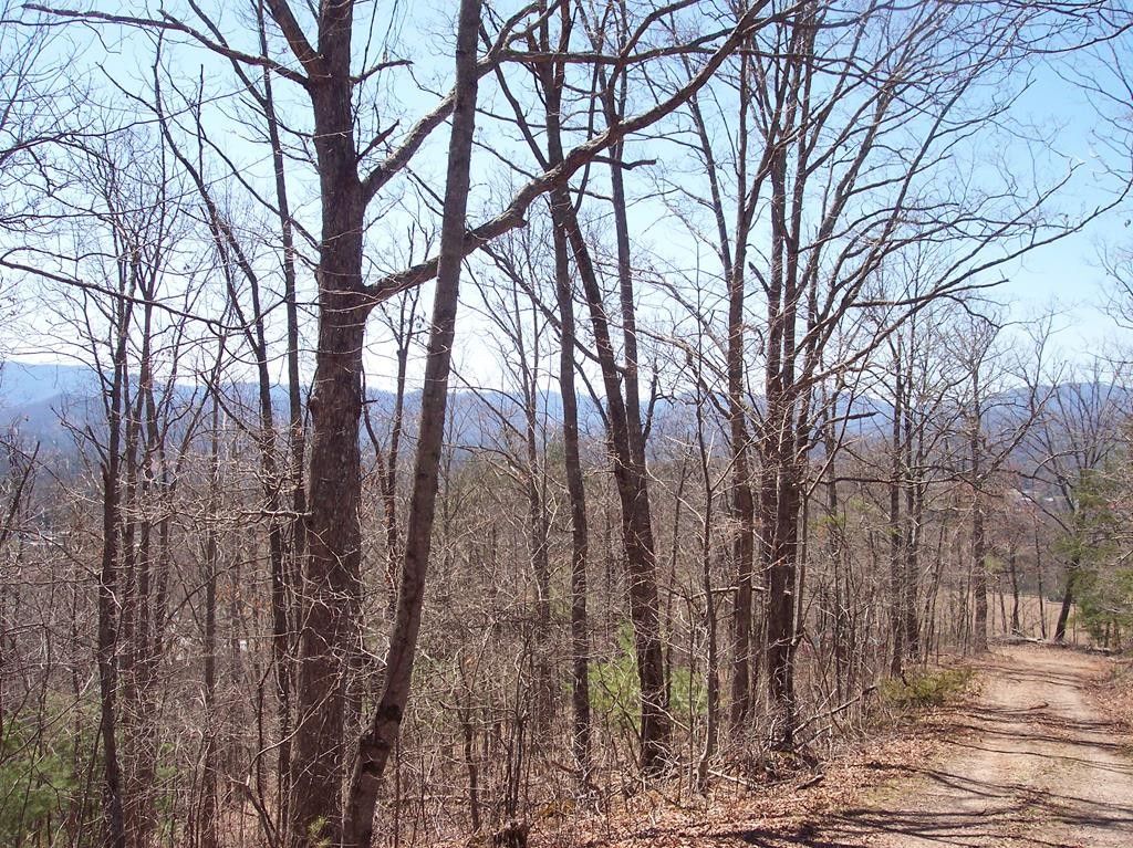 2.43 Acres, Green Acres Road, Franklin, NC 28734 Land and Farm