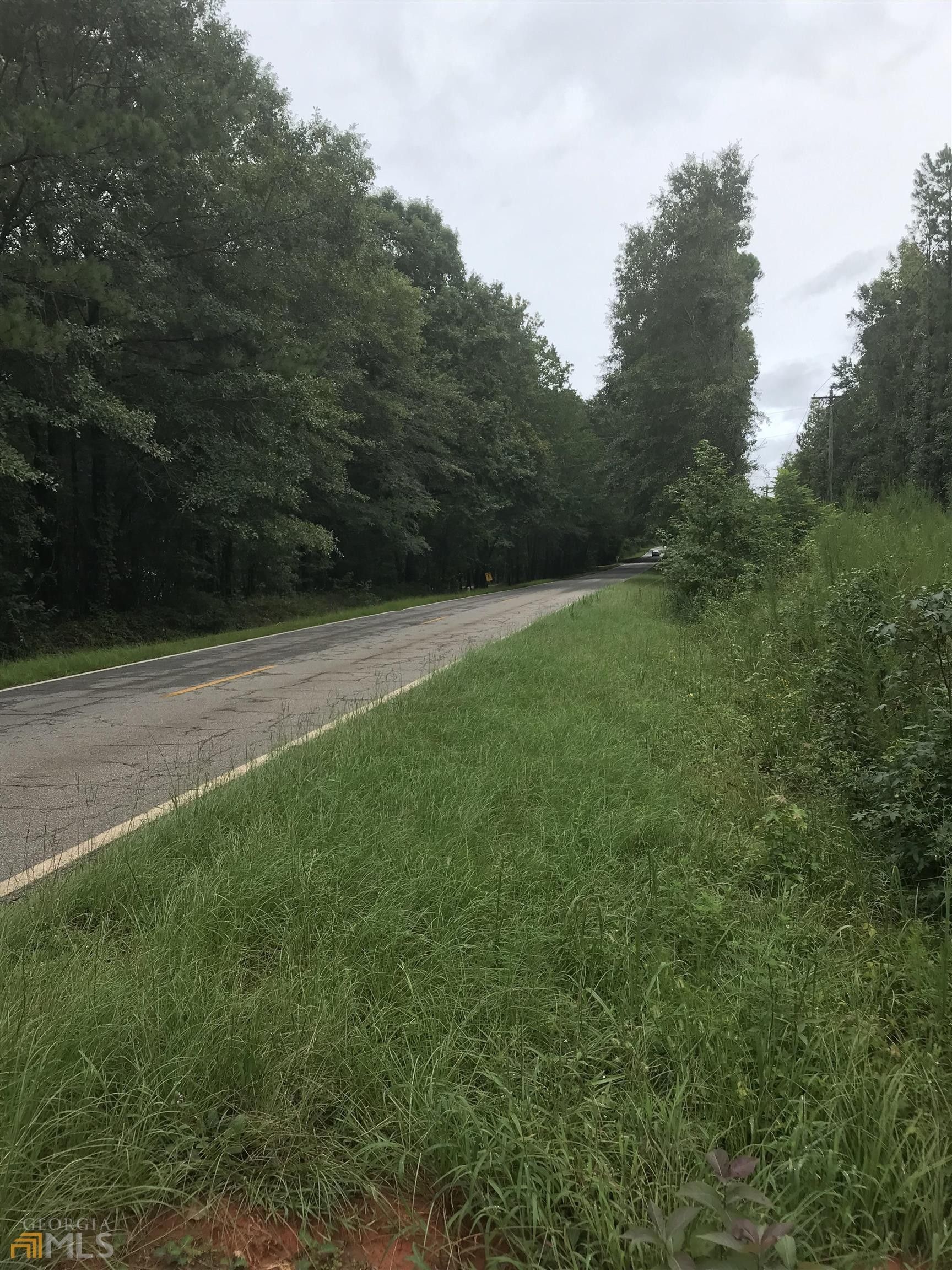 18.61 Acres, TRACT C Zebulon Road, Milner, GA 30257 Land and Farm