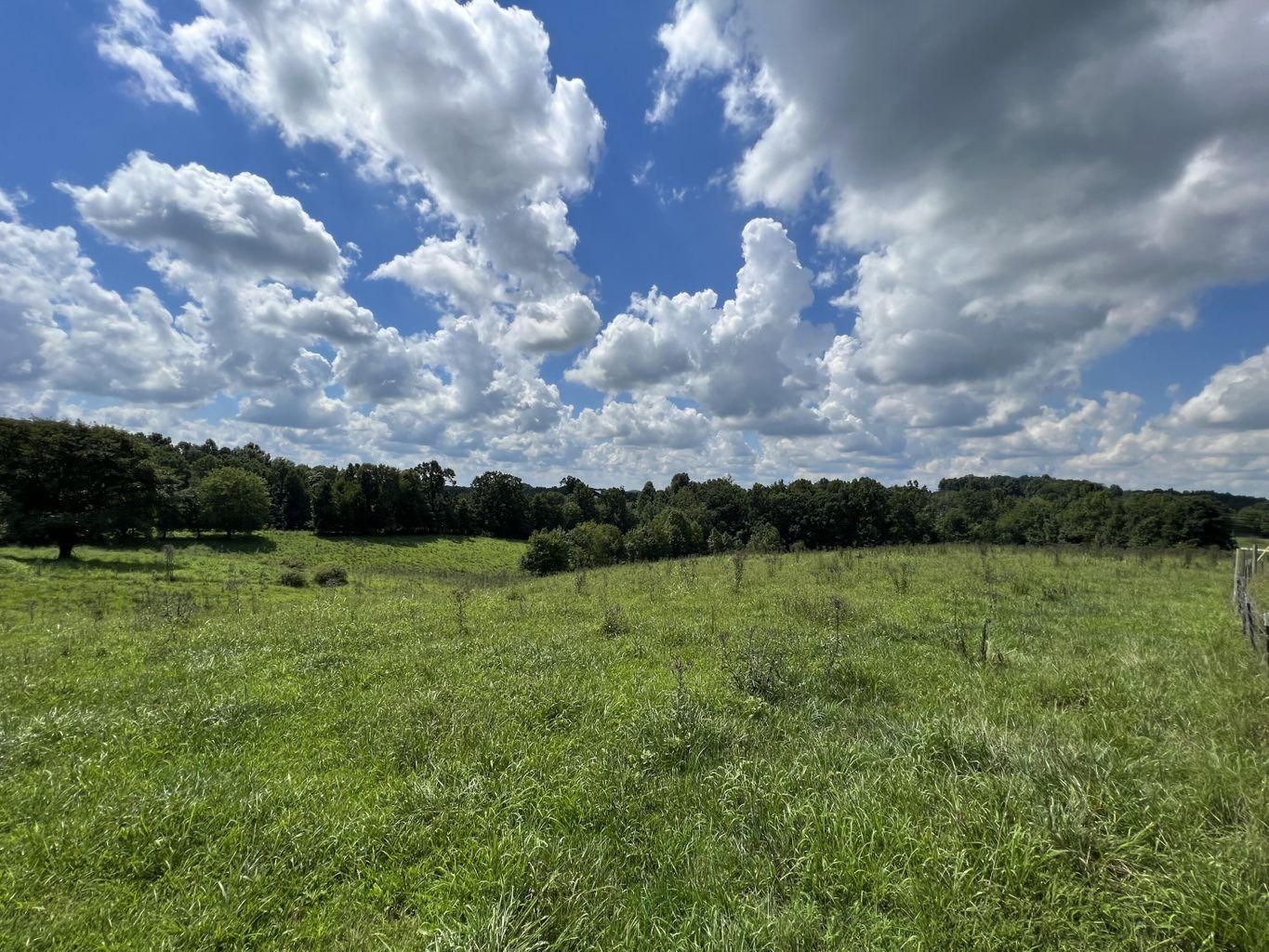 20 Acres, 3050 Kentucky 1693, Wellington, KY 40387 Land and Farm