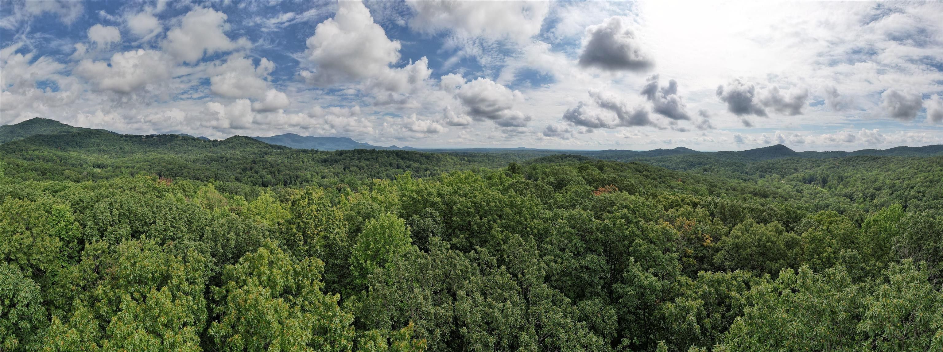 43.49 Acres, 43.49 Acres Durham Dr., Landrum, SC 29356 Land and Farm