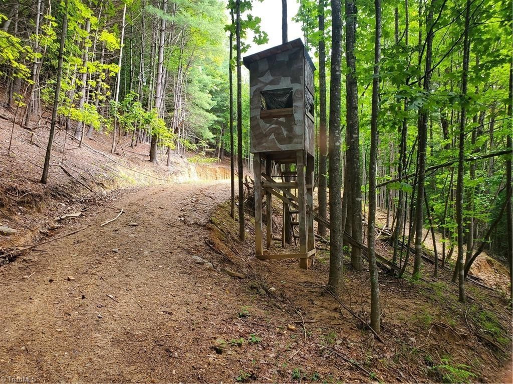 10.05 Acres, 0 Homestead Drive, Millers Creek, NC 28651 Land and Farm