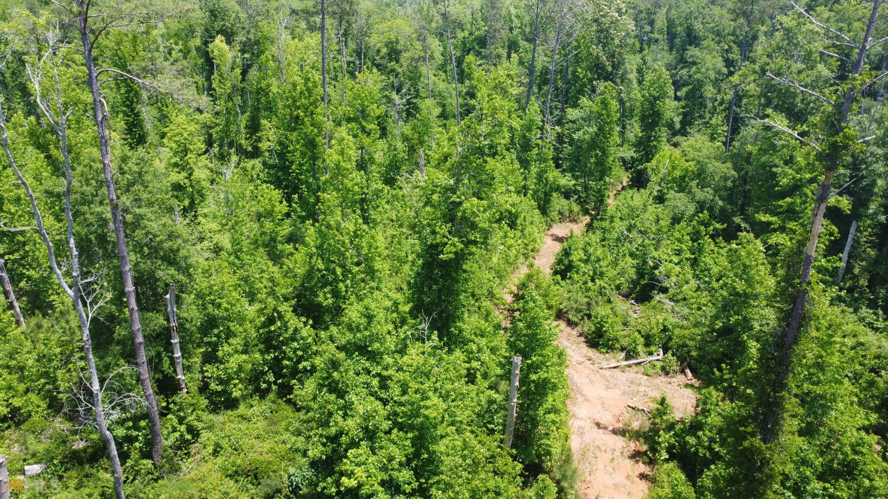 02 Roosevelt Highway, Warm Springs, GA 31830 MLS 10086018 Land and Farm