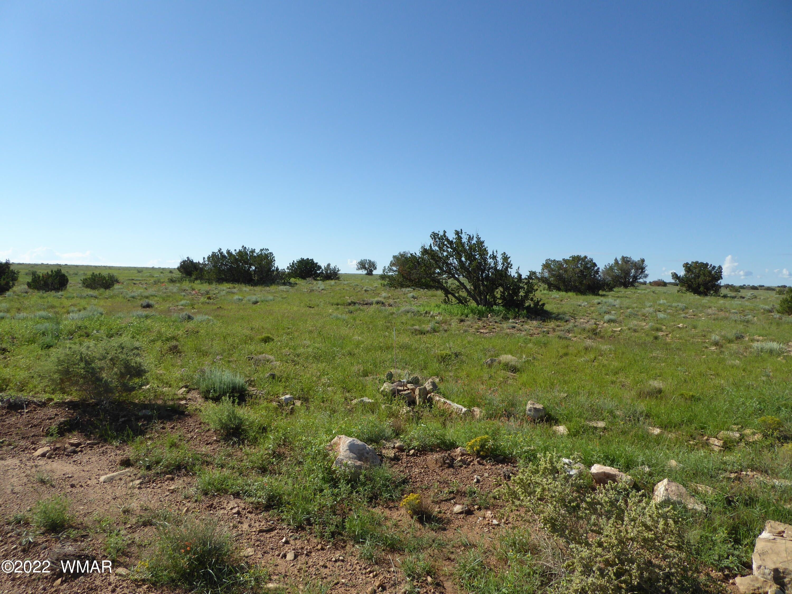 37 Acres, Lot 468 11122468, Heber, AZ 85928 Land and Farm